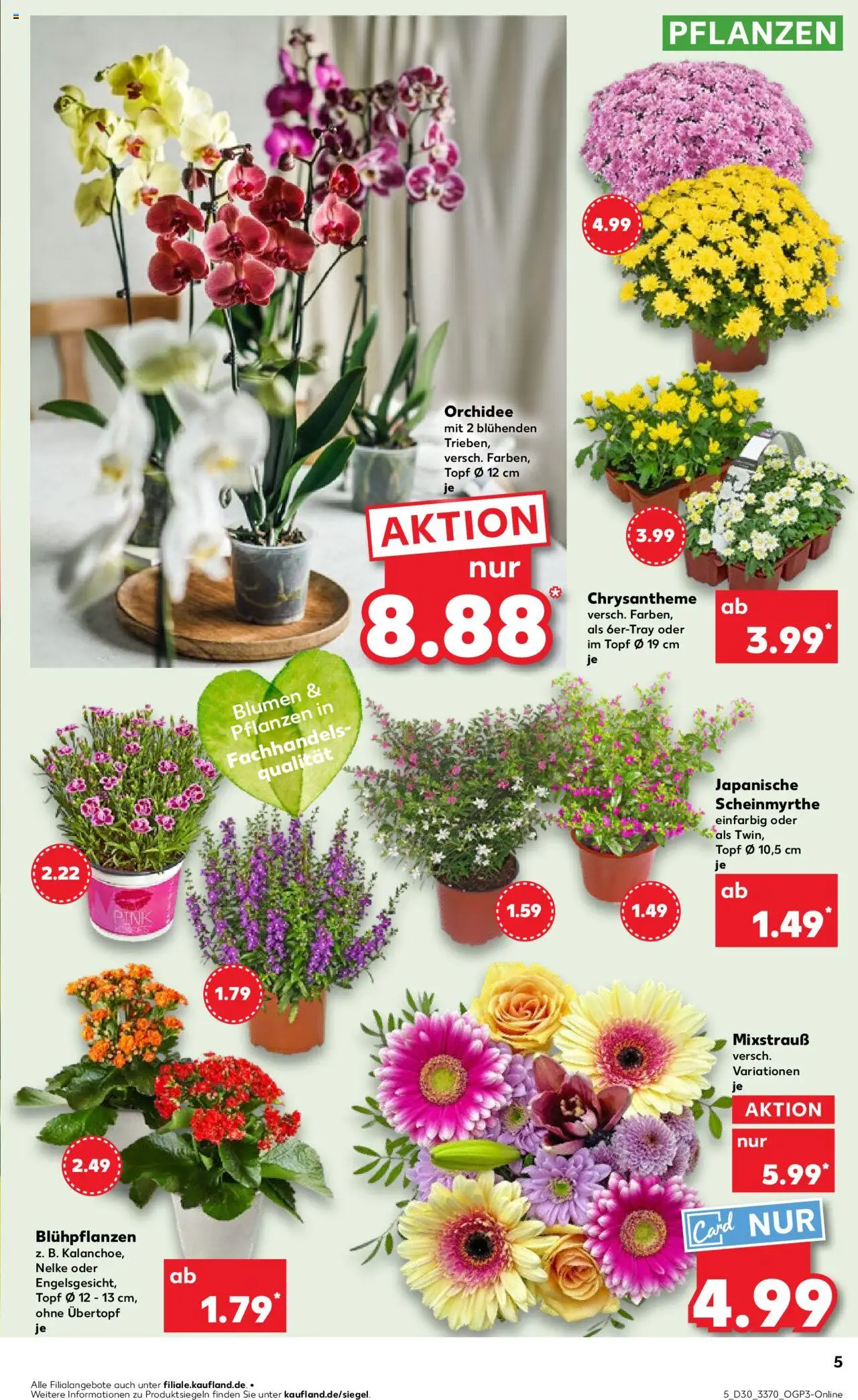 Kaufland Prospekt 	 - gültig ab dem 24.07.2025 | Seite: 5 | Produkte: Orchidee, Blumen