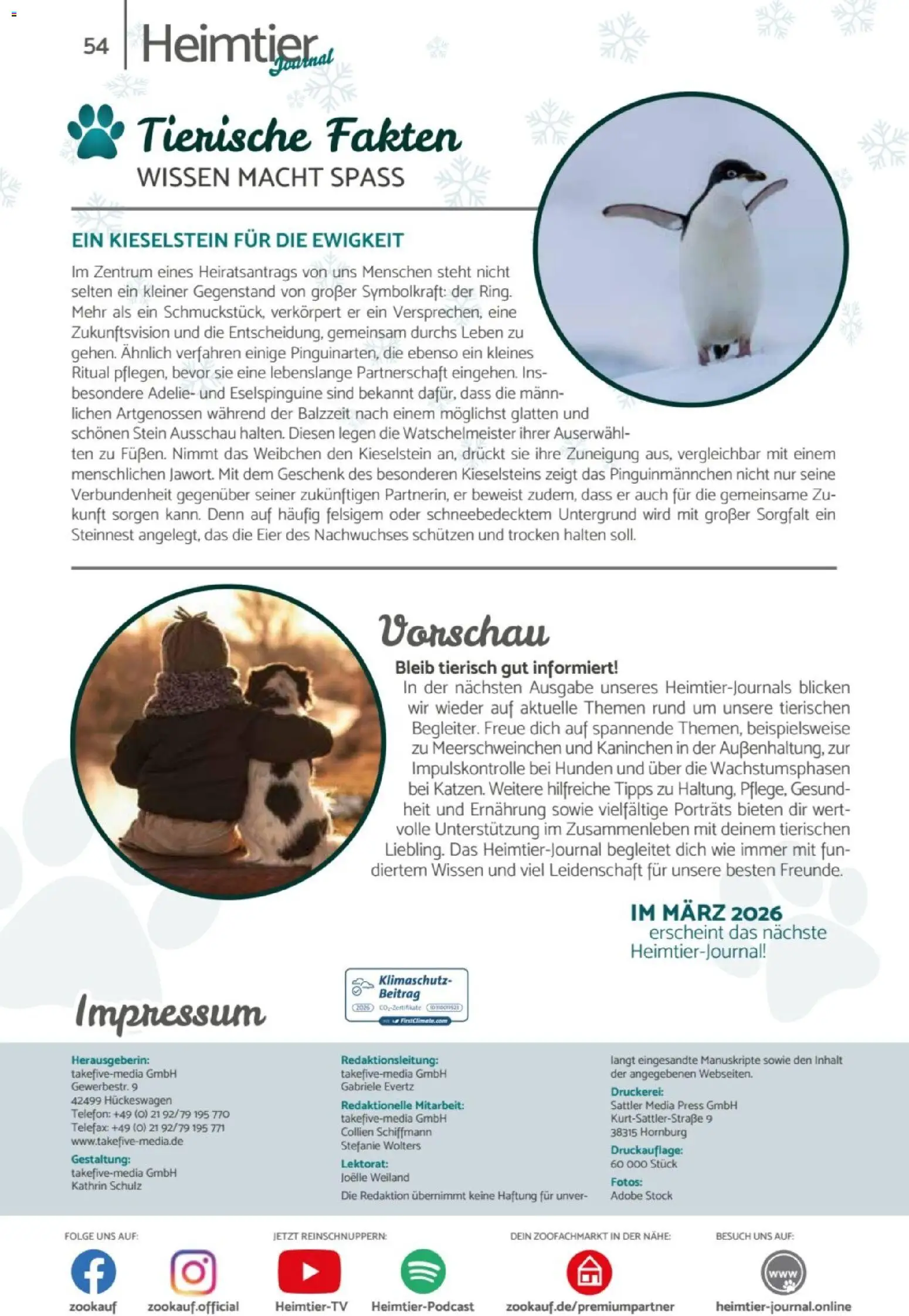 zookauf  Heimtier Journal – gültig ab 01.02.2026 | Seite: 54 | Produkte: Eier, Kaninchen