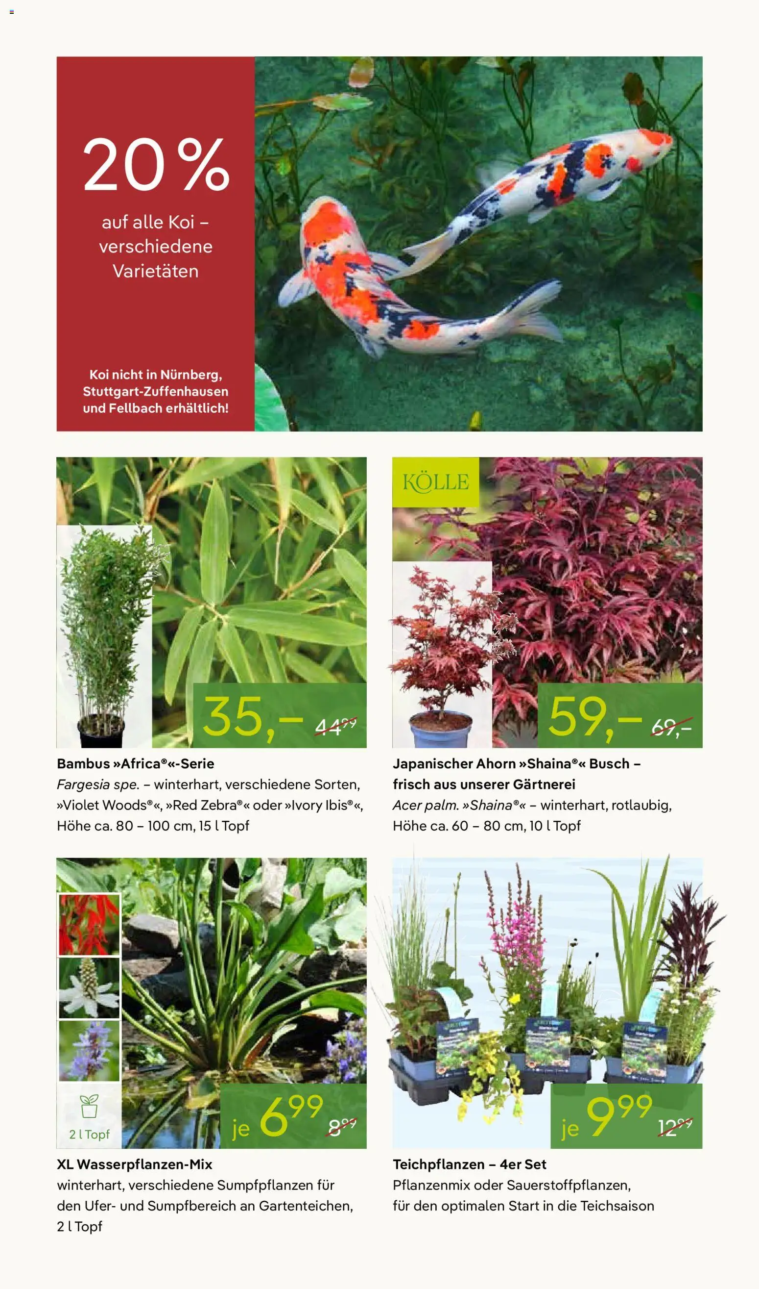 Pflanzen-Kölle Prospekt 	 – gültig ab 27.04.2026 | Seite: 8