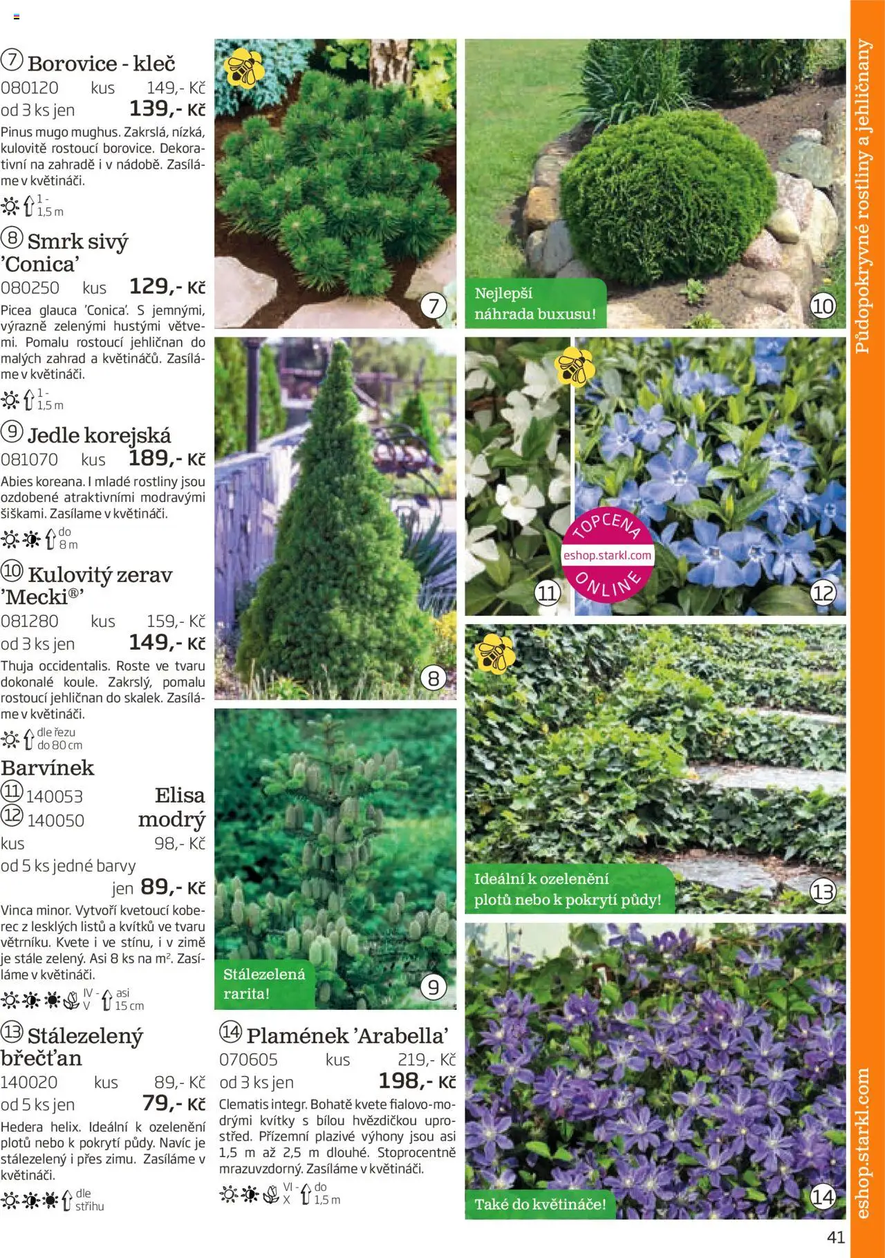 Starkl katalog podzim 2025 od 01.08.2025 | Strana: 41 | Produkty: Květináče, Rostliny, Barvy