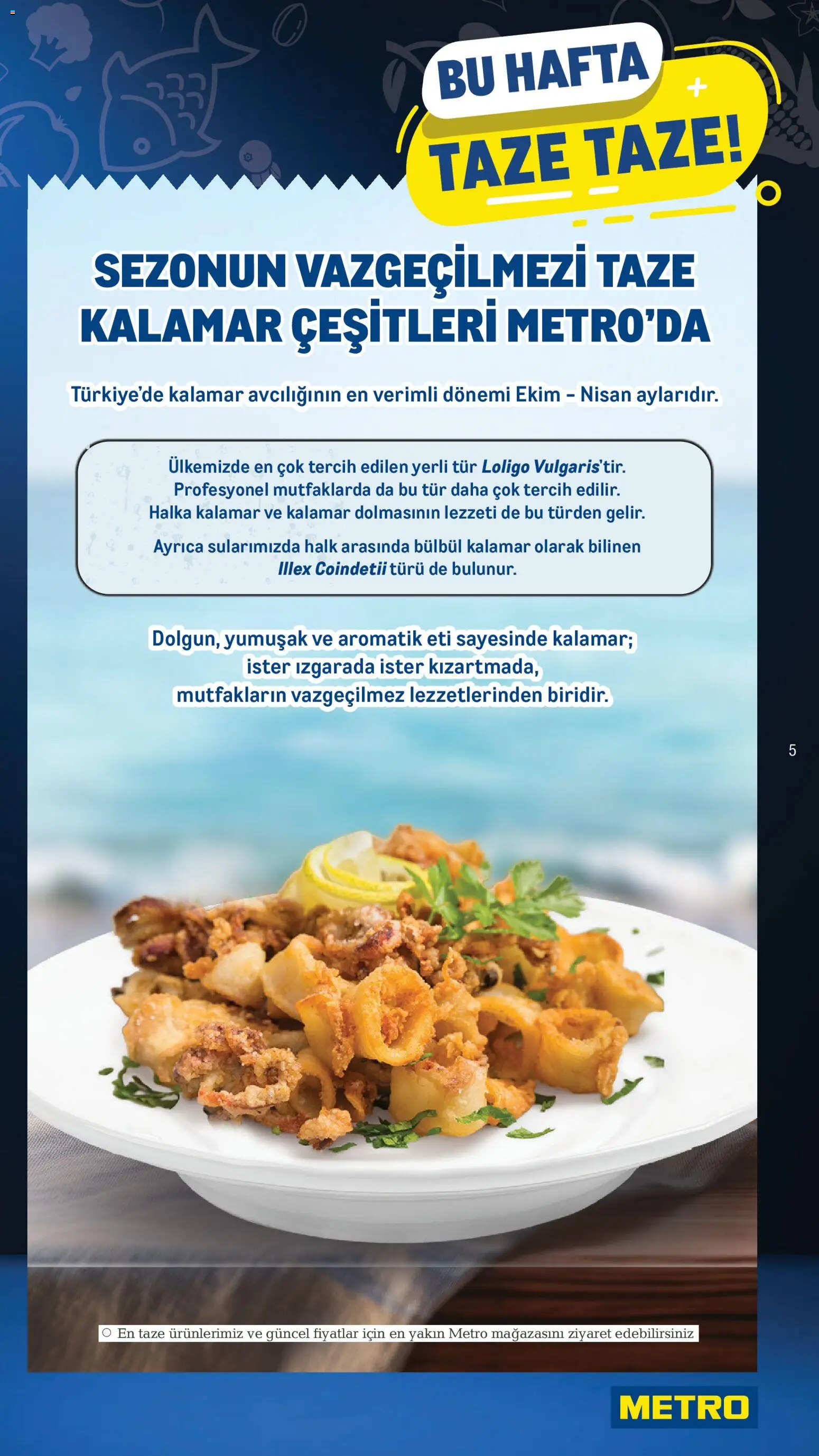 Metro Katalog - 10.12.2025 tarihinden itibaren geçerlidir | Sayfa: 5