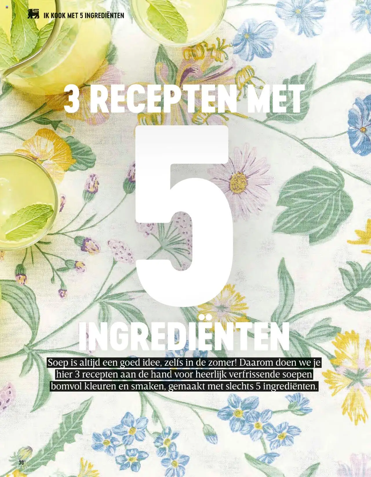 | Pagina: 30