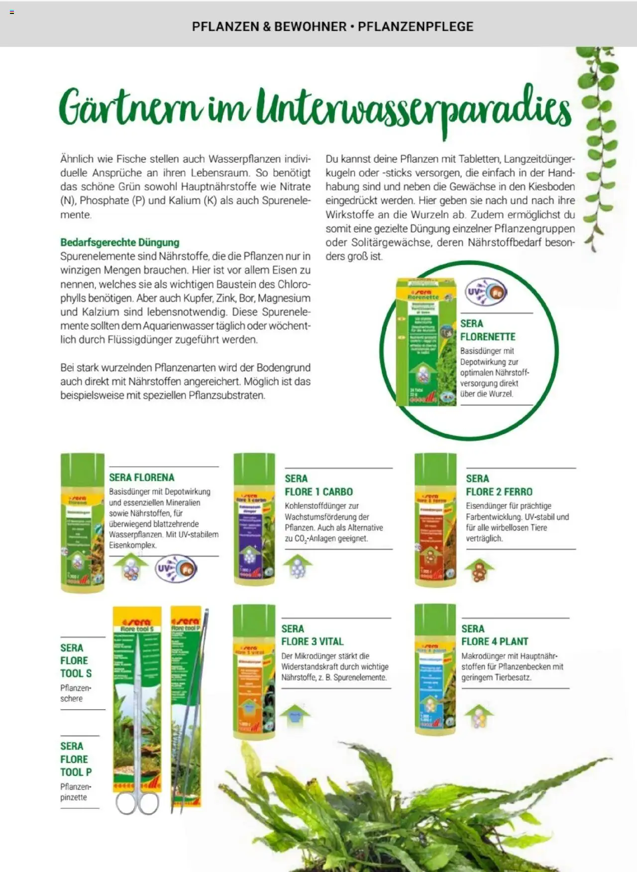 zookauf Themenkatalog Aquaristik – gültig ab 01.10.2025 | Seite: 37 | Produkte: Pinzette