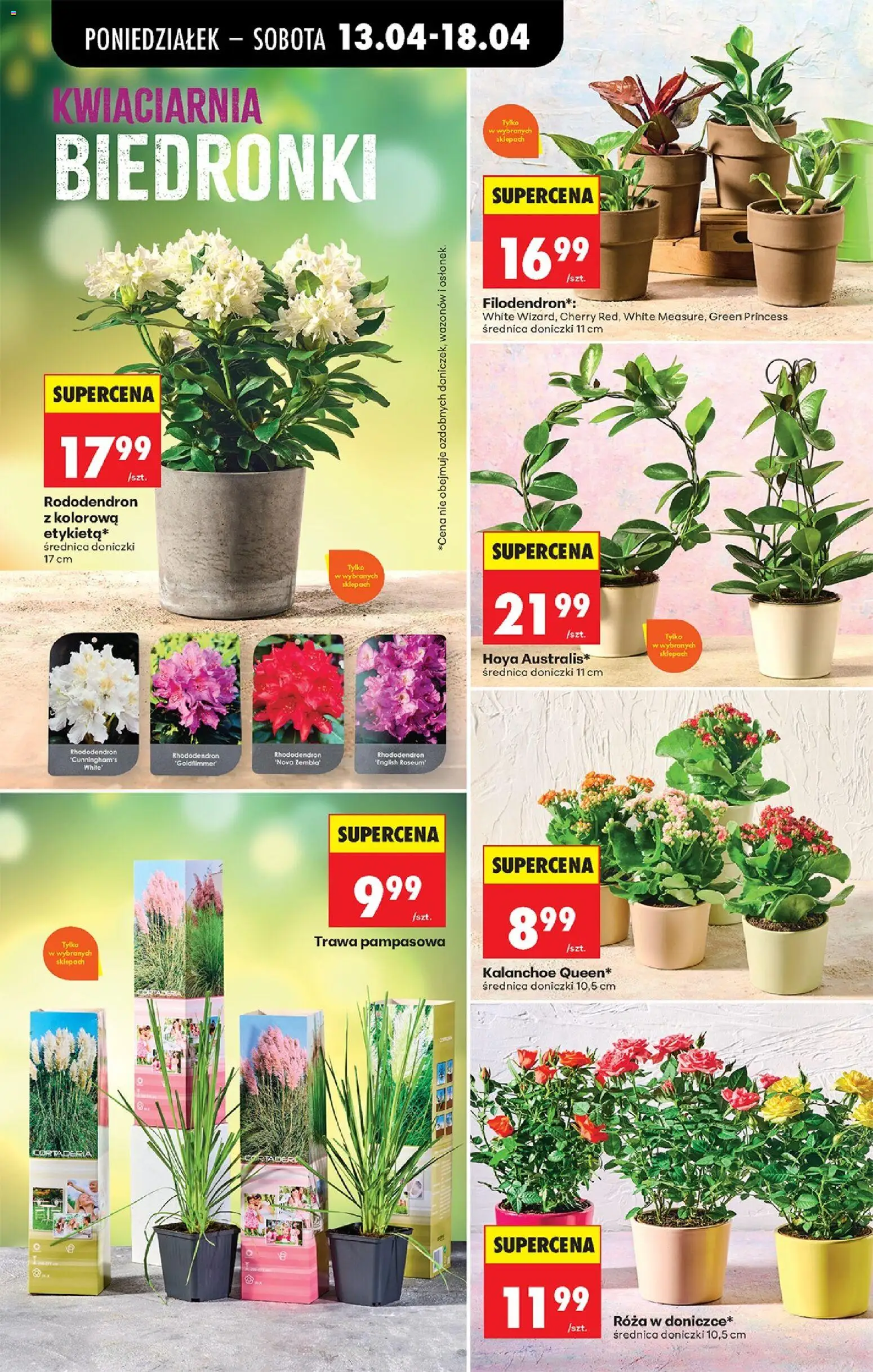 Biedronka gazetka od poniedziałku od 13.04.2026 | Strona: 83