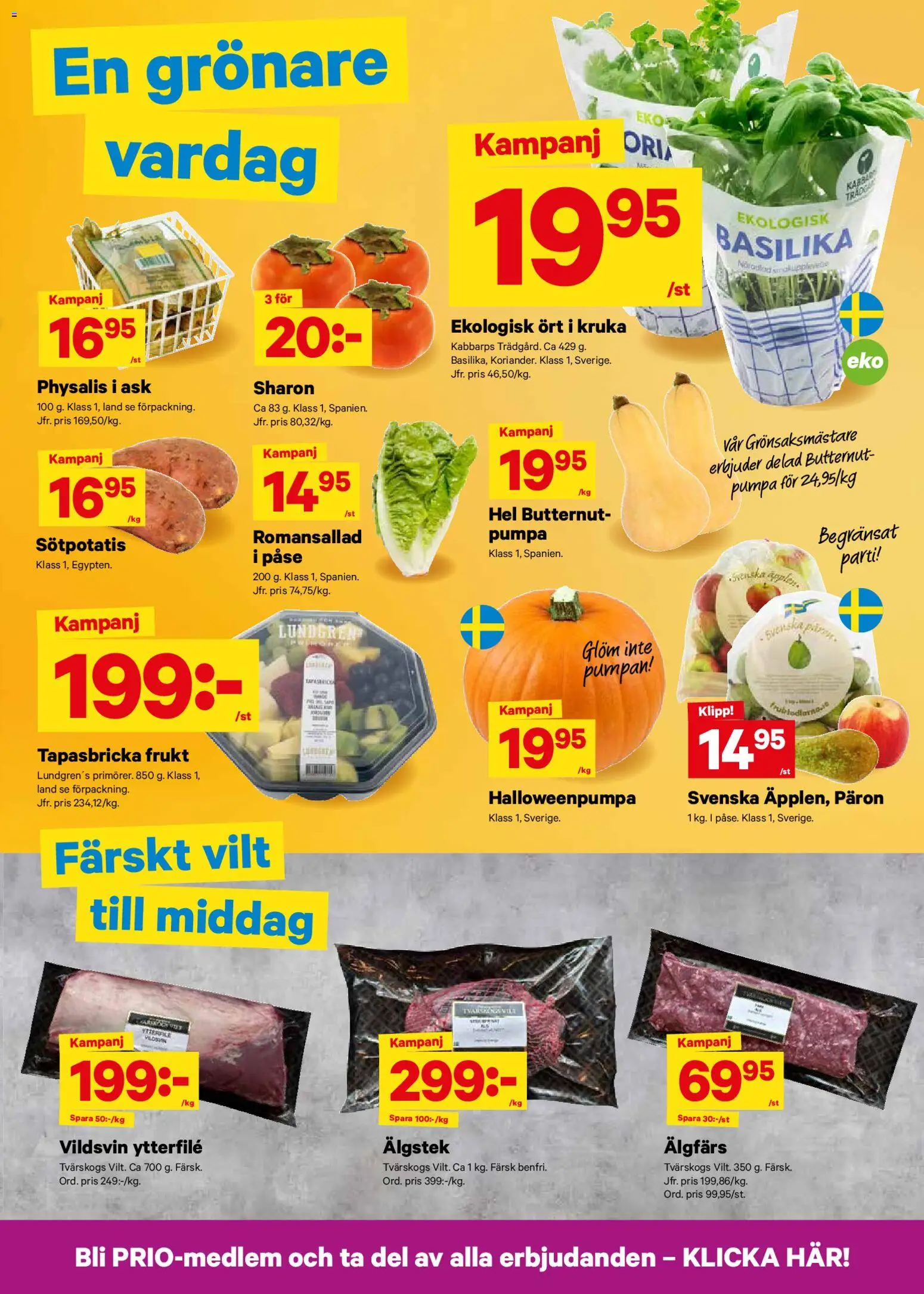 City Gross reklamblad aktuell från 27.10.2025 | Sida: 3 | Produkter: Kruka, Sötpotatis, Sharon, Pumpa