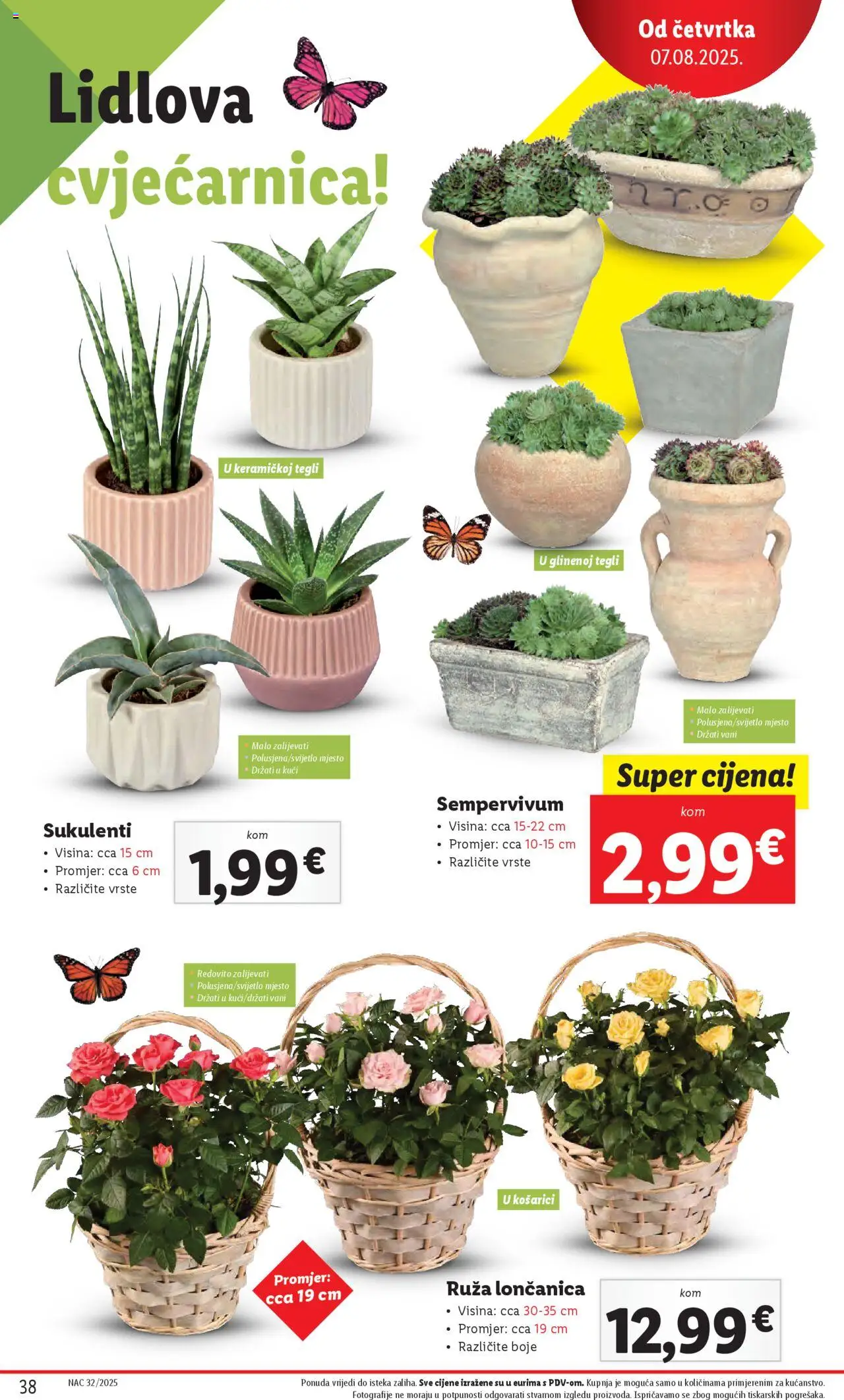 Lidl katalog | vrijedi od 04.08.2025 | Stranica: 38
