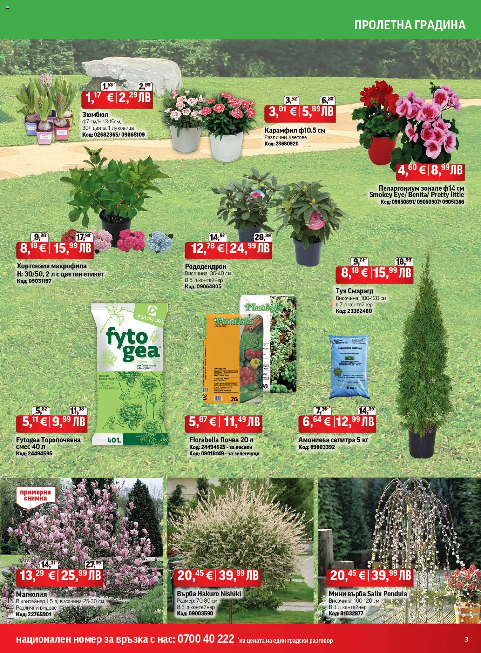 {H1} | Страница: 3 | Продукти: Vanília kivonat, Зеленчуци, Карамфил, Контейнер