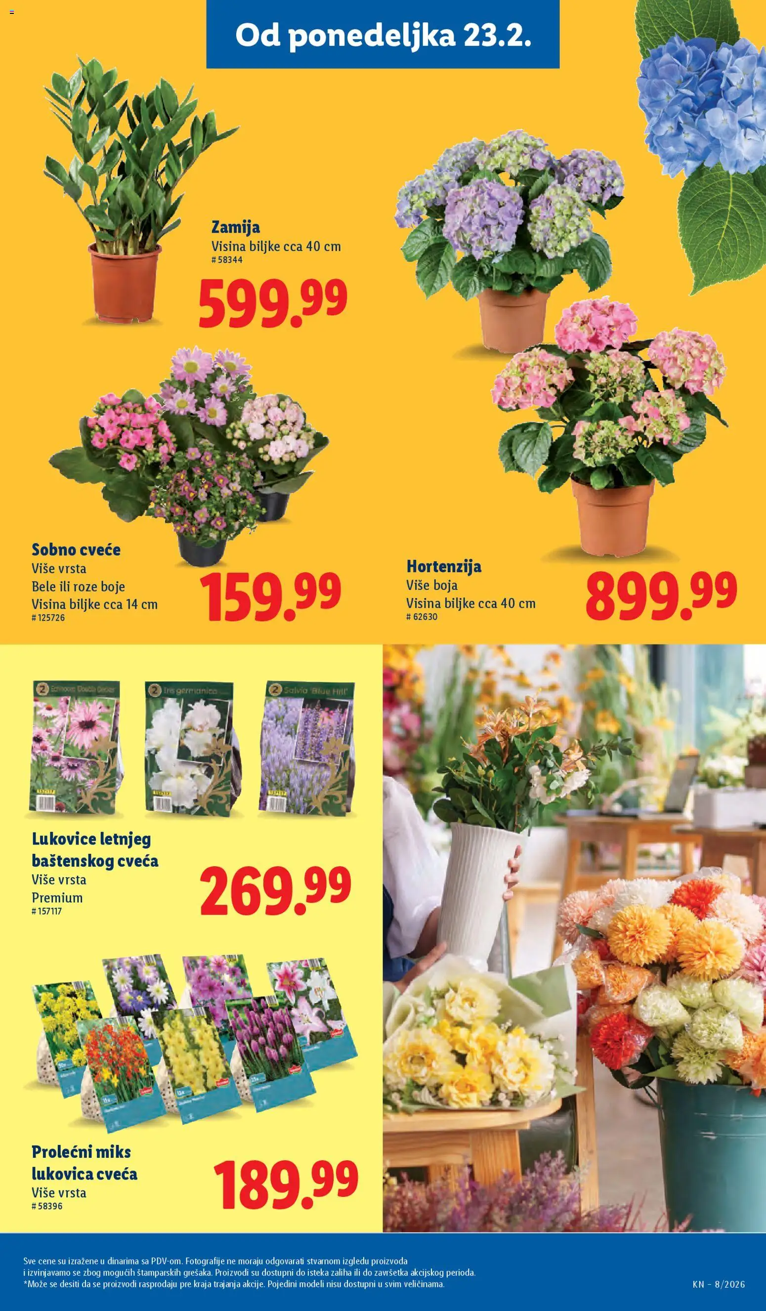 Lidl katalog - važi od 19.02.2026 | Strana: 49