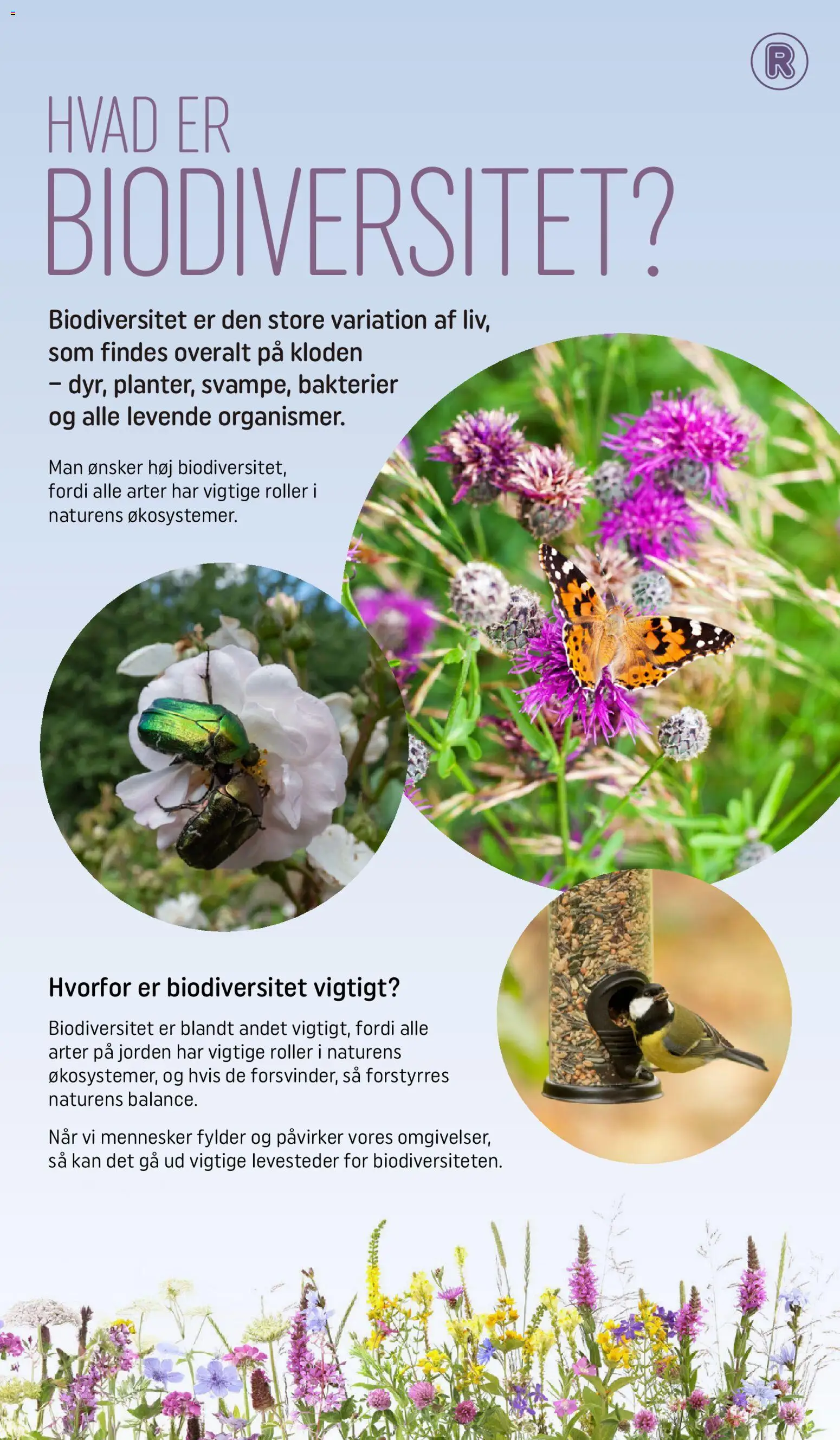 Rema 1000 tilbudsavis – gyldig fra 03.03.2026 | Side: 2 | Produkter: Søm