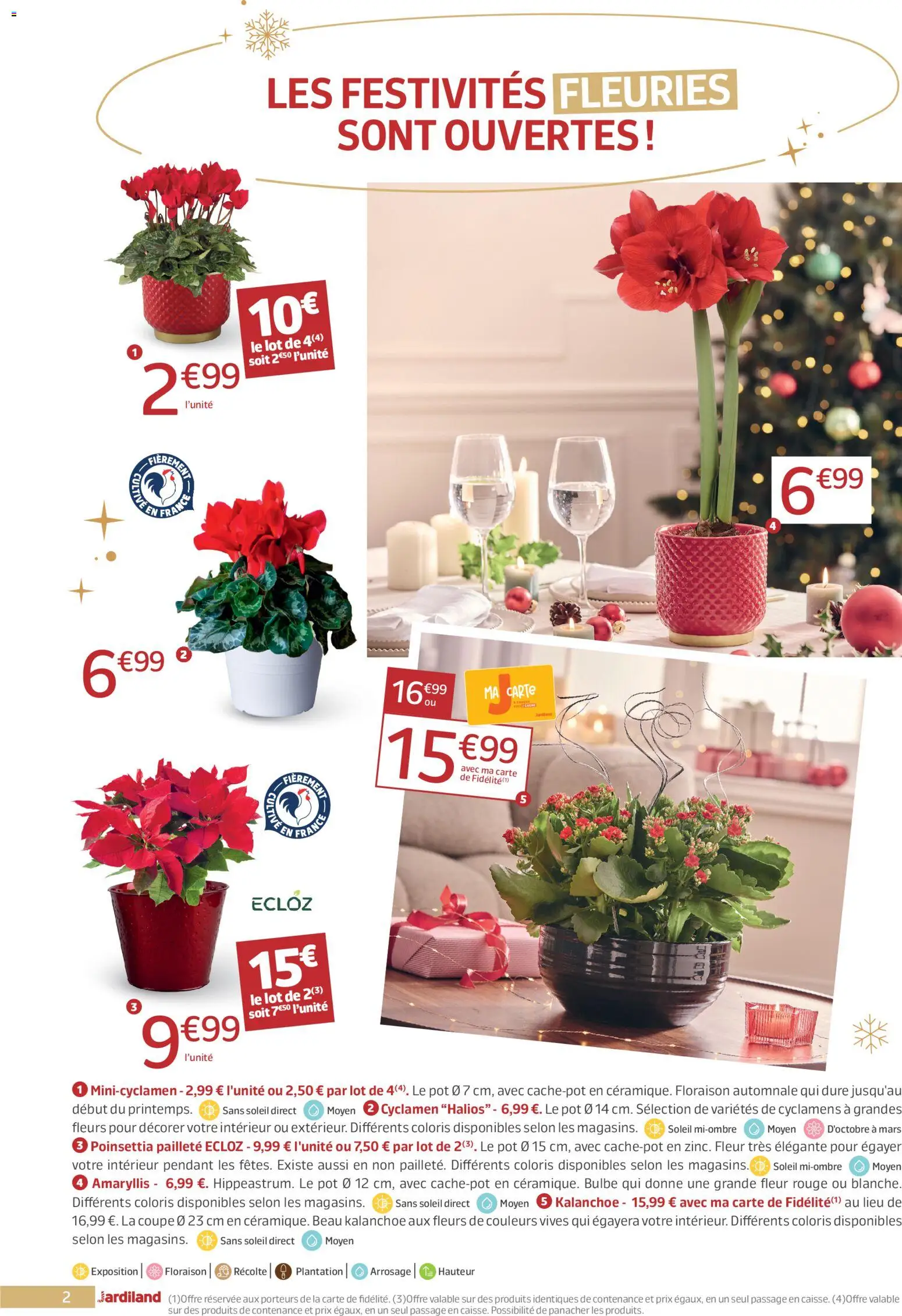 {H1} | Page: 2 | Produits: Poinsettia