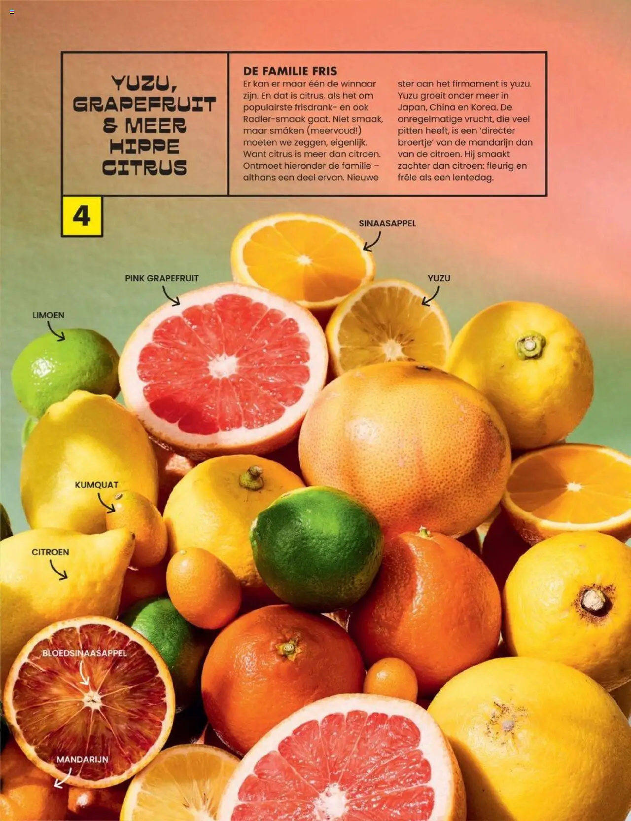  | Pagina: 10 | Producten: Grapefruit, Mandarijn, Kan, Pitten
