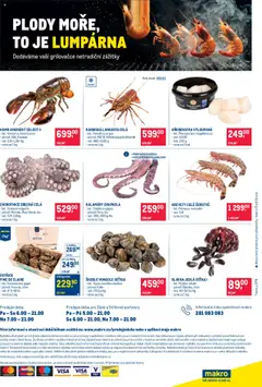 Makro leták - Gastronomie od 02.07.2025 | Strana: 24 | Produkty: Argus, Chobotnice, Karty, Krevety