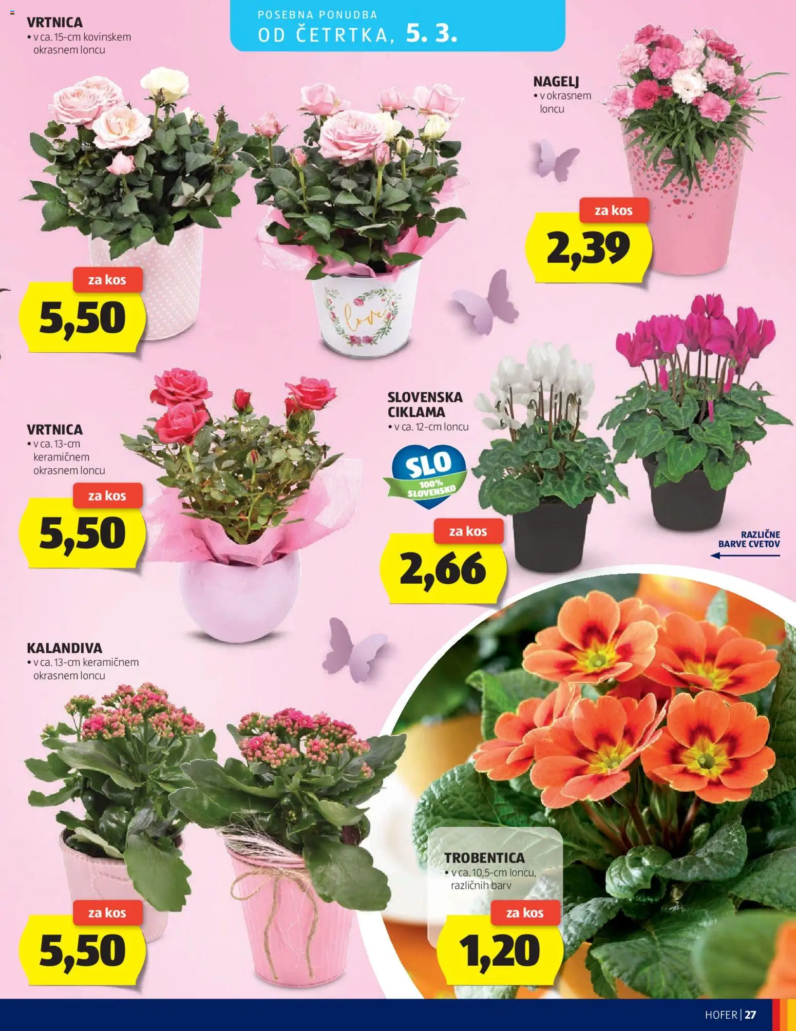 Novi Hofer katalog ponudbe – veljaven od 25.02.2026 | Stran: 27 | Izdelki: Kos