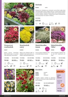 Náhled letáku Starkl katalog od 25.02.2026 | Strana: 74 | Produkty: Koberce, Barvy