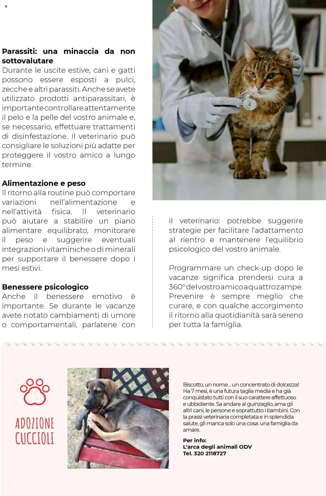 Volantino Gulliver del 01.09.2025 | Pagina: 89 | Prodotti: Monitorare