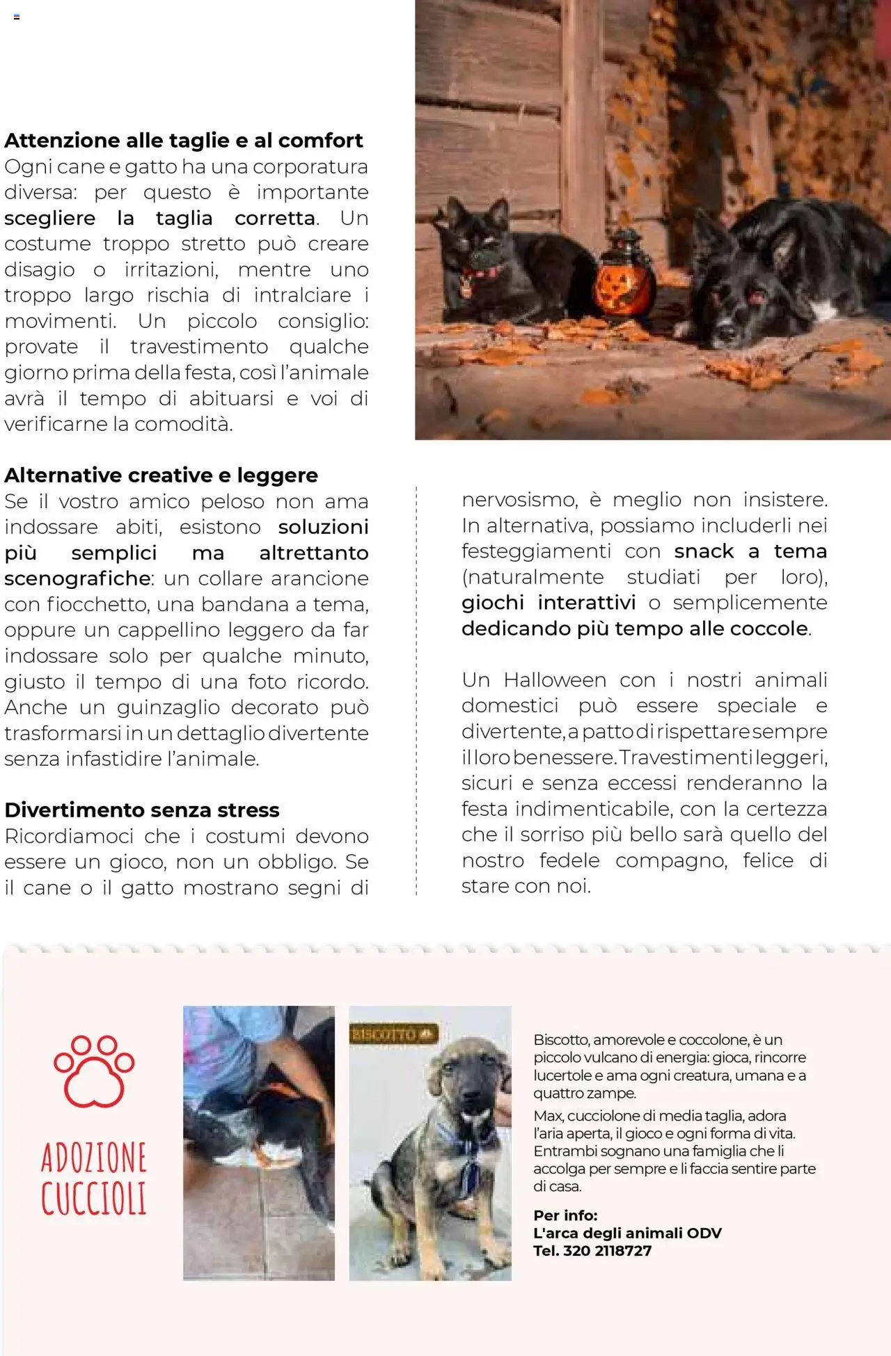 Volantino Gulliver del 01.10.2025 | Pagina: 89 | Prodotti: Gioco