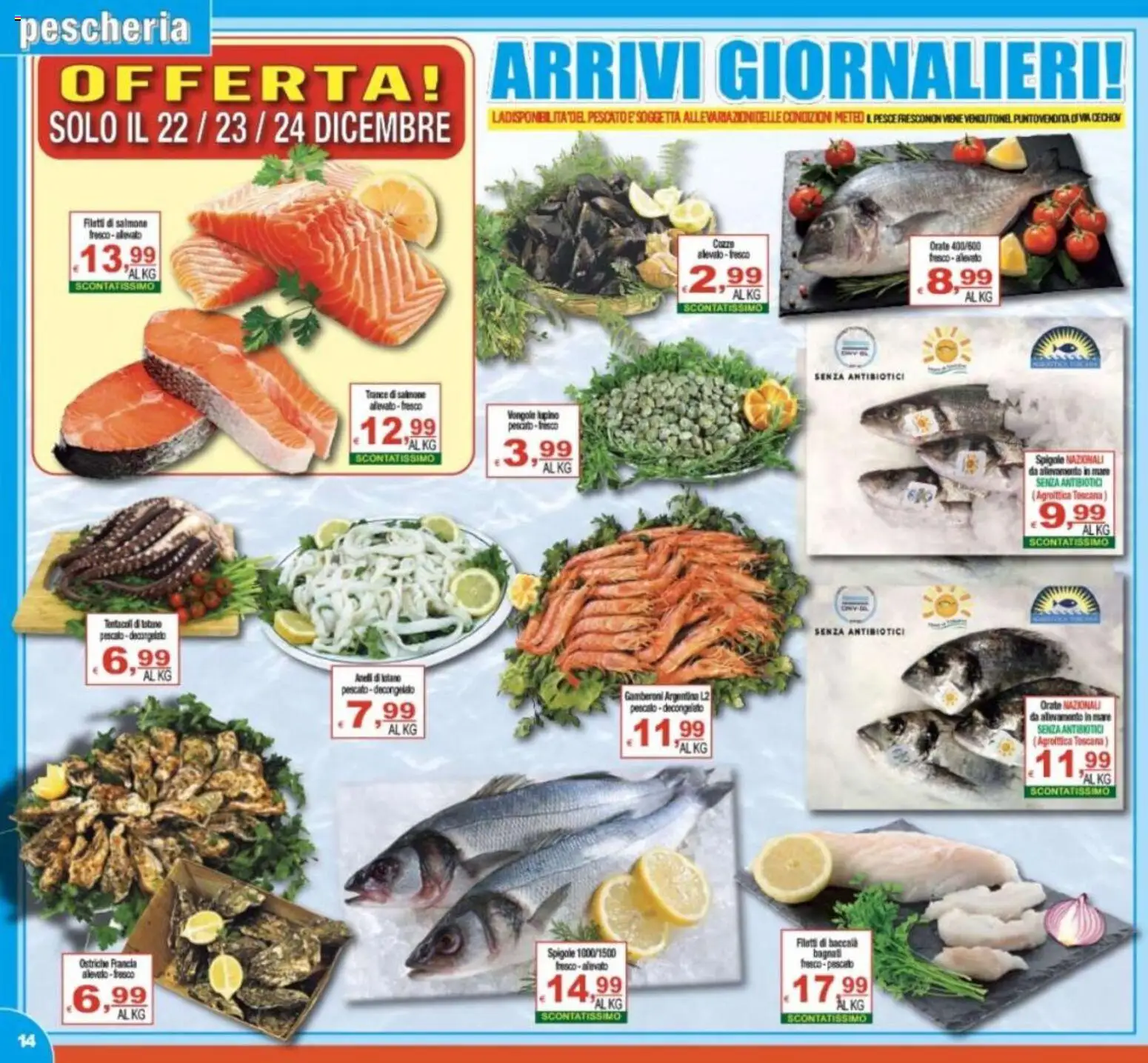 Volantino CTS del 16.12.2025 | Pagina: 14 | Prodotti: Salmone, Pesce, Cozze, Gamberoni