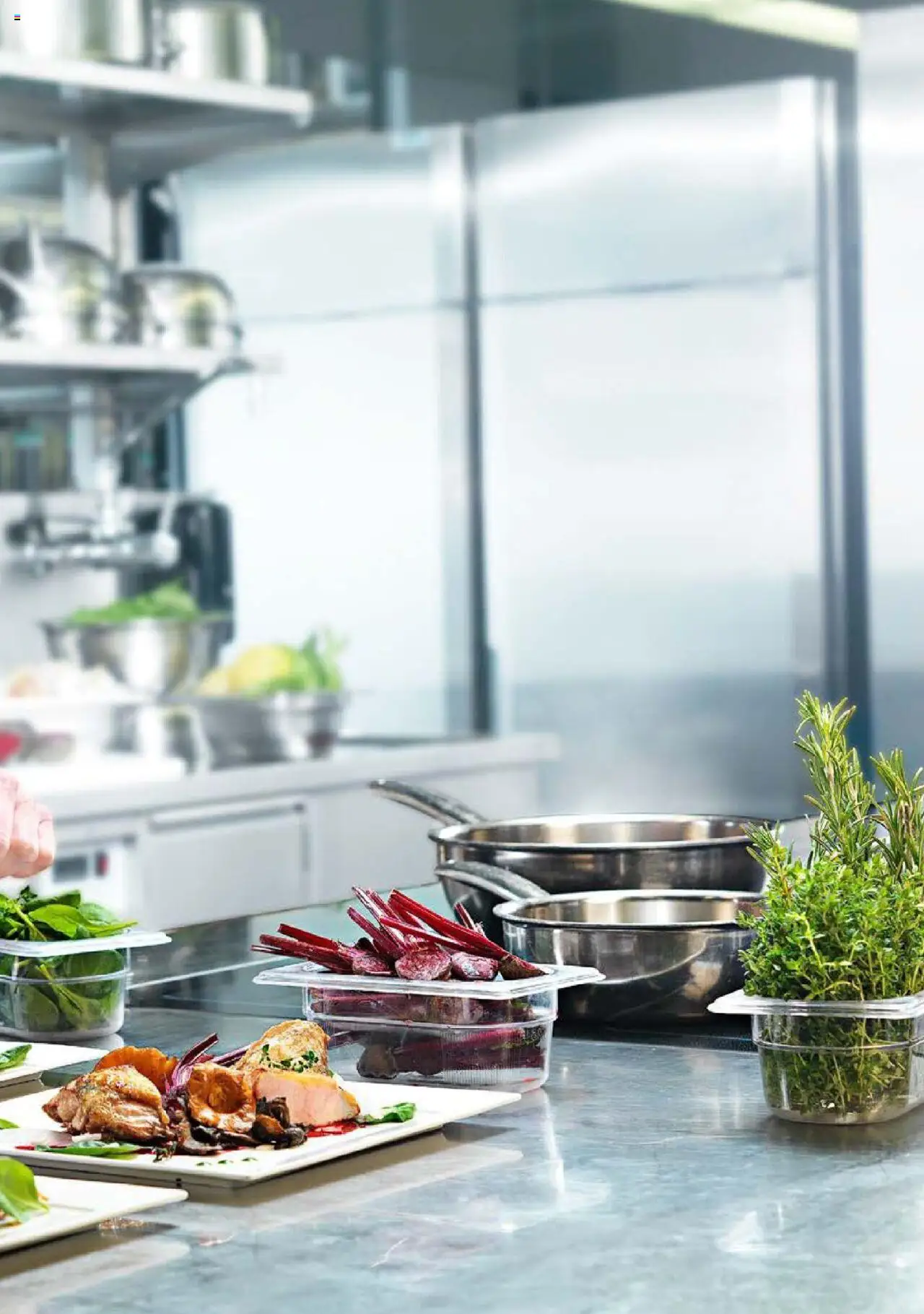Catalog Selgros - Transgourmet – valabil de la 29.02.2024 | Pagină: 25
