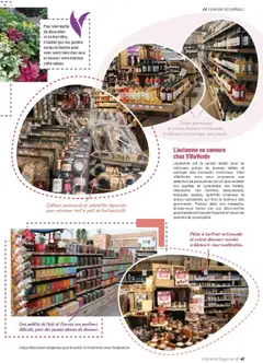 VillaVerde - Prévisualisation de VillaVerde catalogue valide à partir de 19.09.2025 | Page: 47 | Produits: Plantes, Pâtes, Magazine