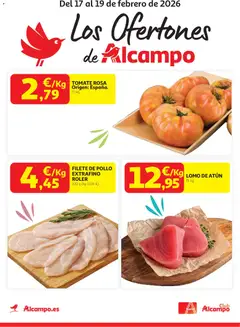 Vista previa Alcampo - Los Ofertones de Alcampo válido desde el 17.02.2026