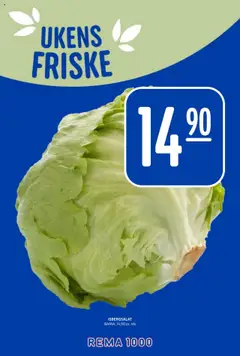  | Side: 14 | Produkter: Isbergsalat