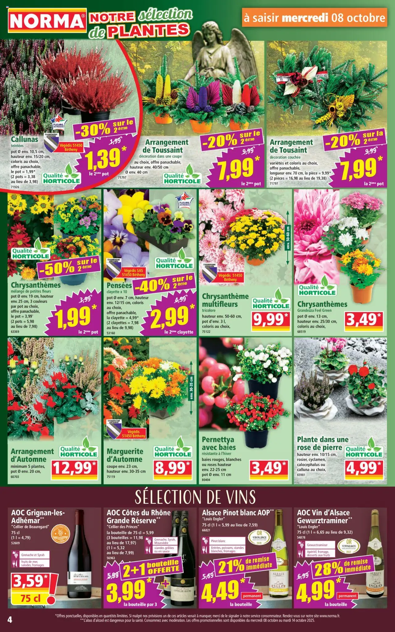 {H1} | Page: 4 | Produits: Plantes, Chrysanthème, Vin