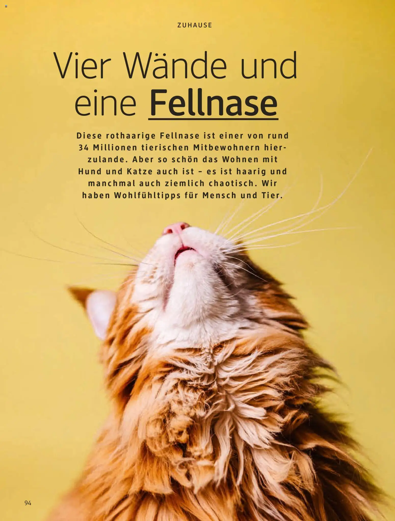 dm drogerie Prospekt 	 – gültig ab 01.01.2026 | Seite: 94