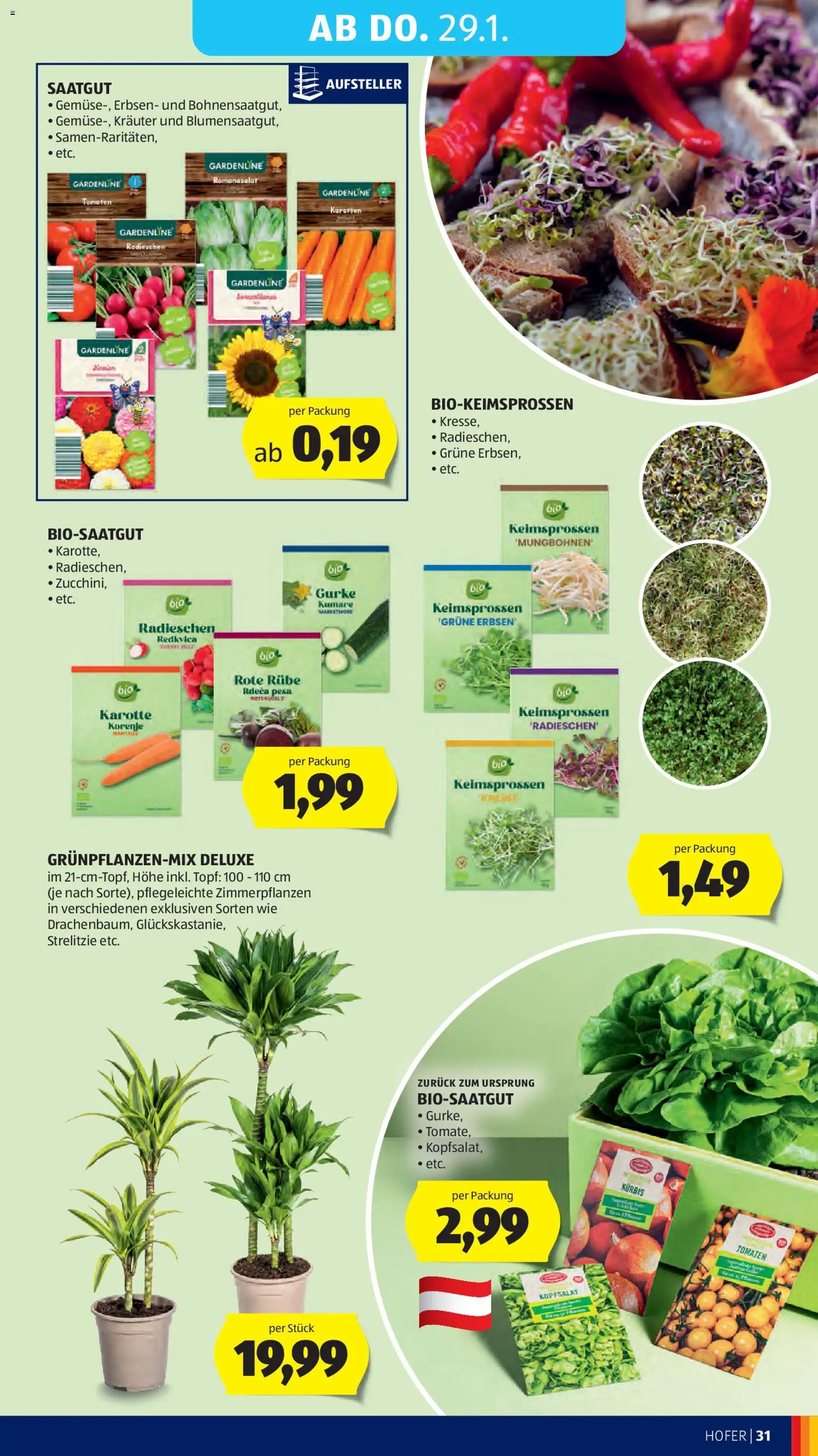 Hofer Flugblatt gültig ab 23.01.2026 | Seite: 35 | Produkte: Karotte, Erbsen, Kürbis, Tomaten