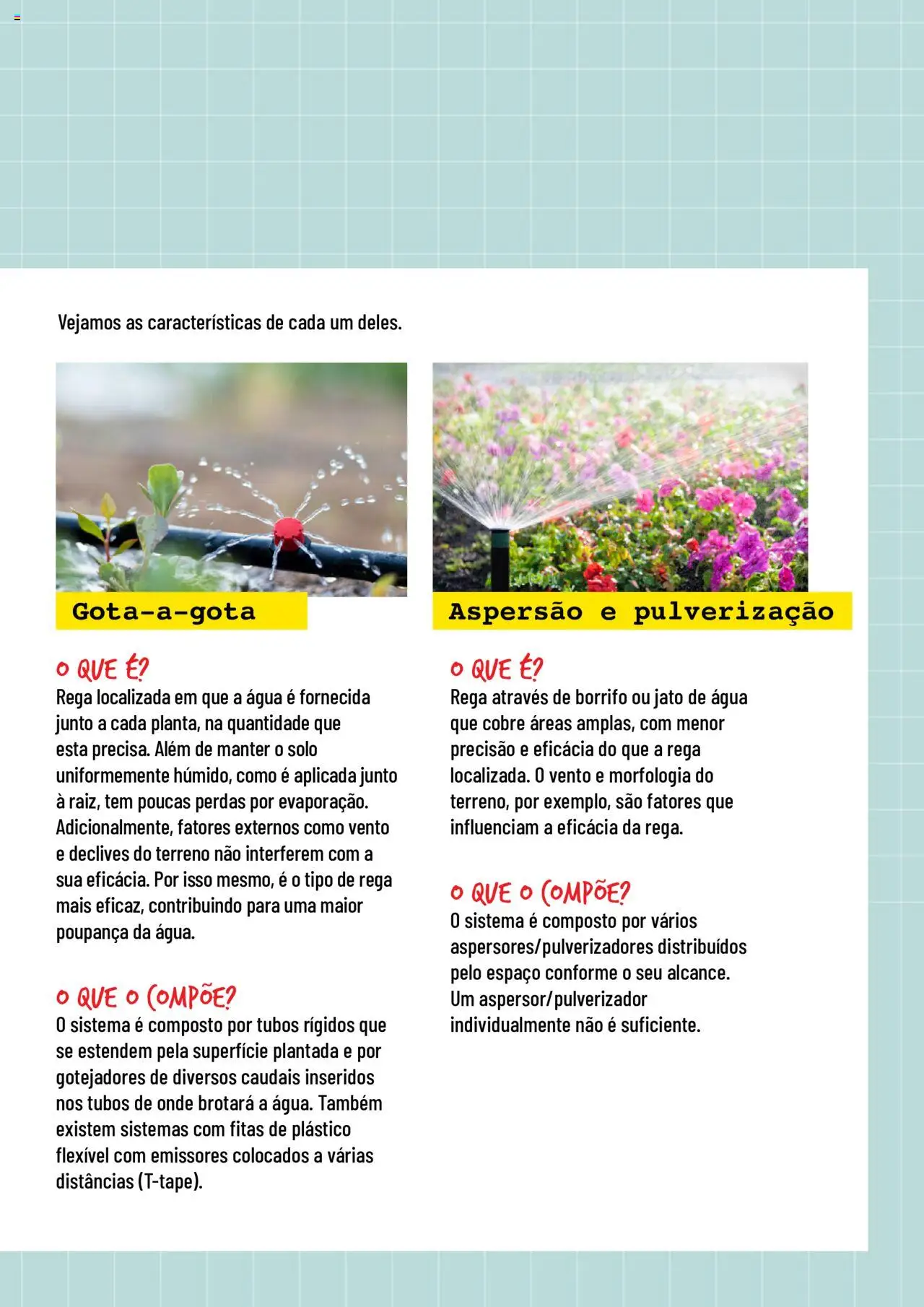 BricoMarché Rega │ válido de 17.01.2024 | Página: 5