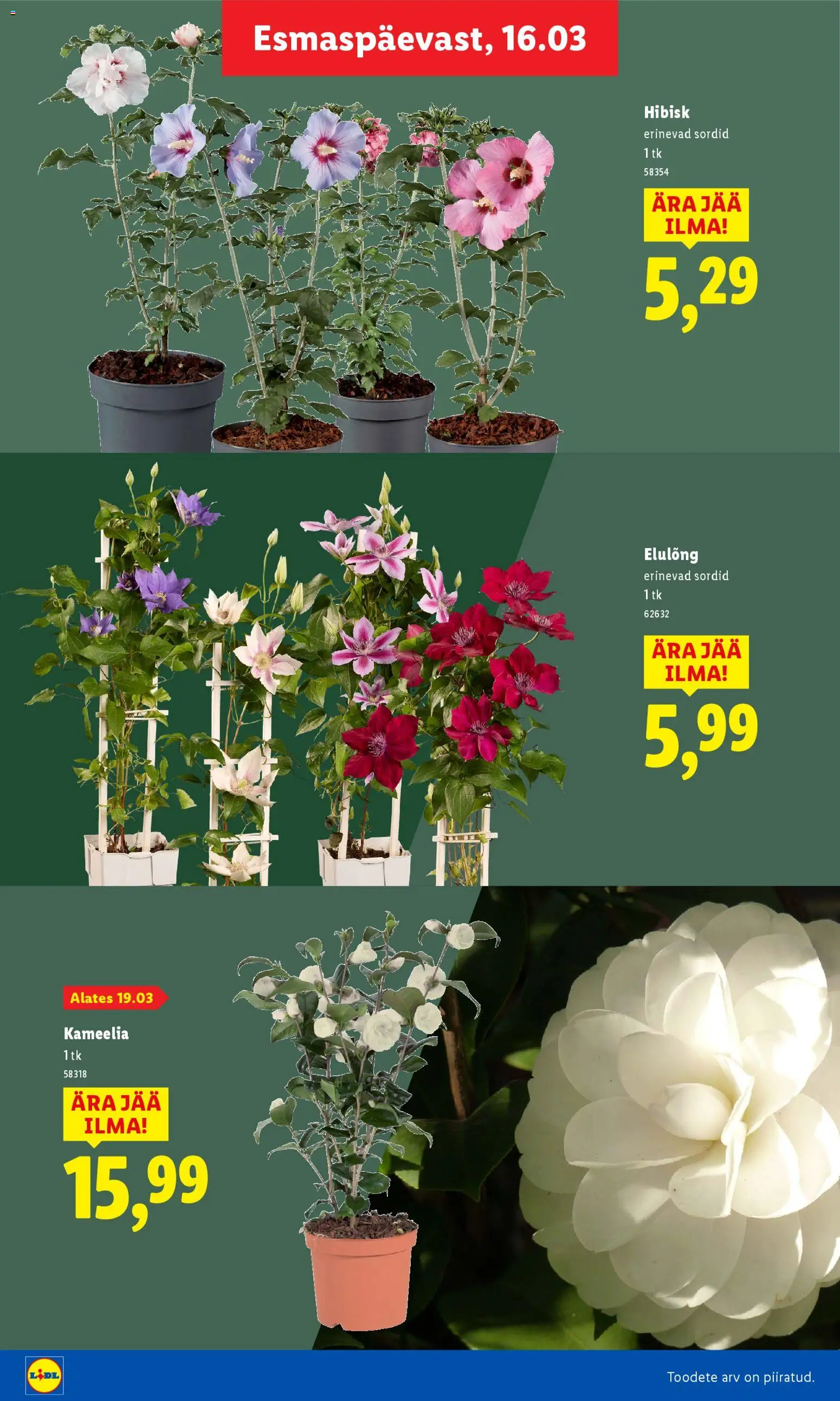 {H1} | Lehekülg: 16