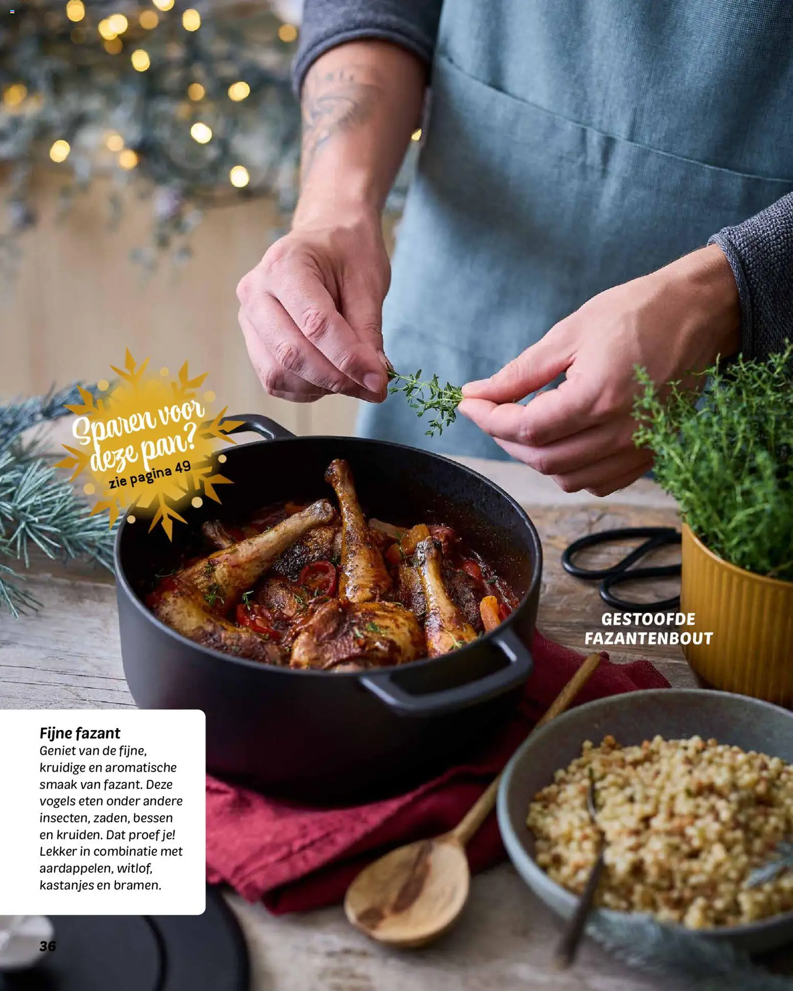 {H1} | Pagina: 36 | Producten: Pan