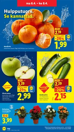 Lidl-mainoslehti voimassa 01.04.2026 alkaen | Sivu: 19