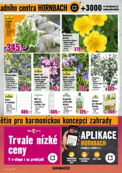 HORNBACH leták - Rostliny lákající hmyz od 09.07.2025 | Strana: 5 | Produkty: Ovoce, Eukalyptus, Rostliny, Hnojivo