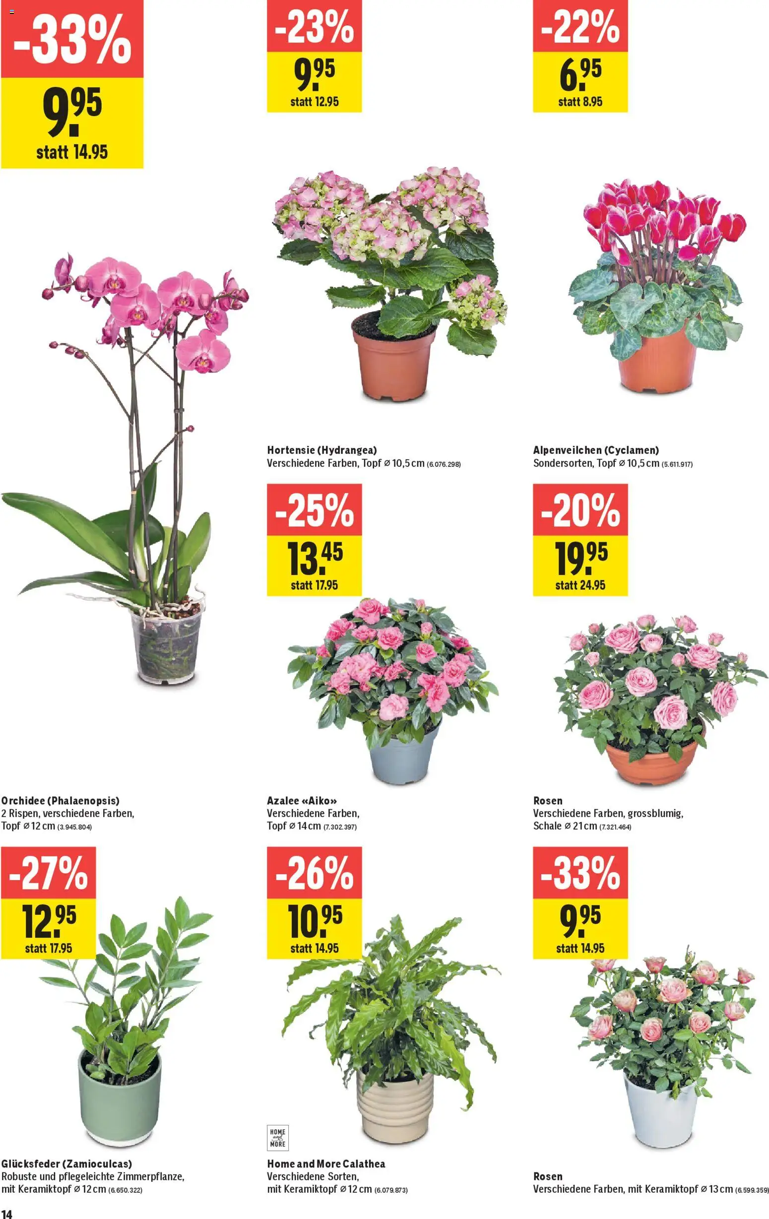 Jumbo Aktionen – gültig ab 12.02.2026 | Seite: 14