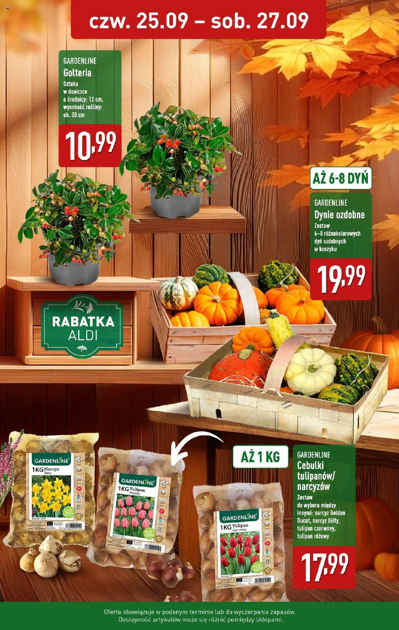 Aldi Gazetka - Kwiaty w kolorach jesieni od 25.09.2025 | Strona: 2 | Produkty: Rosliny