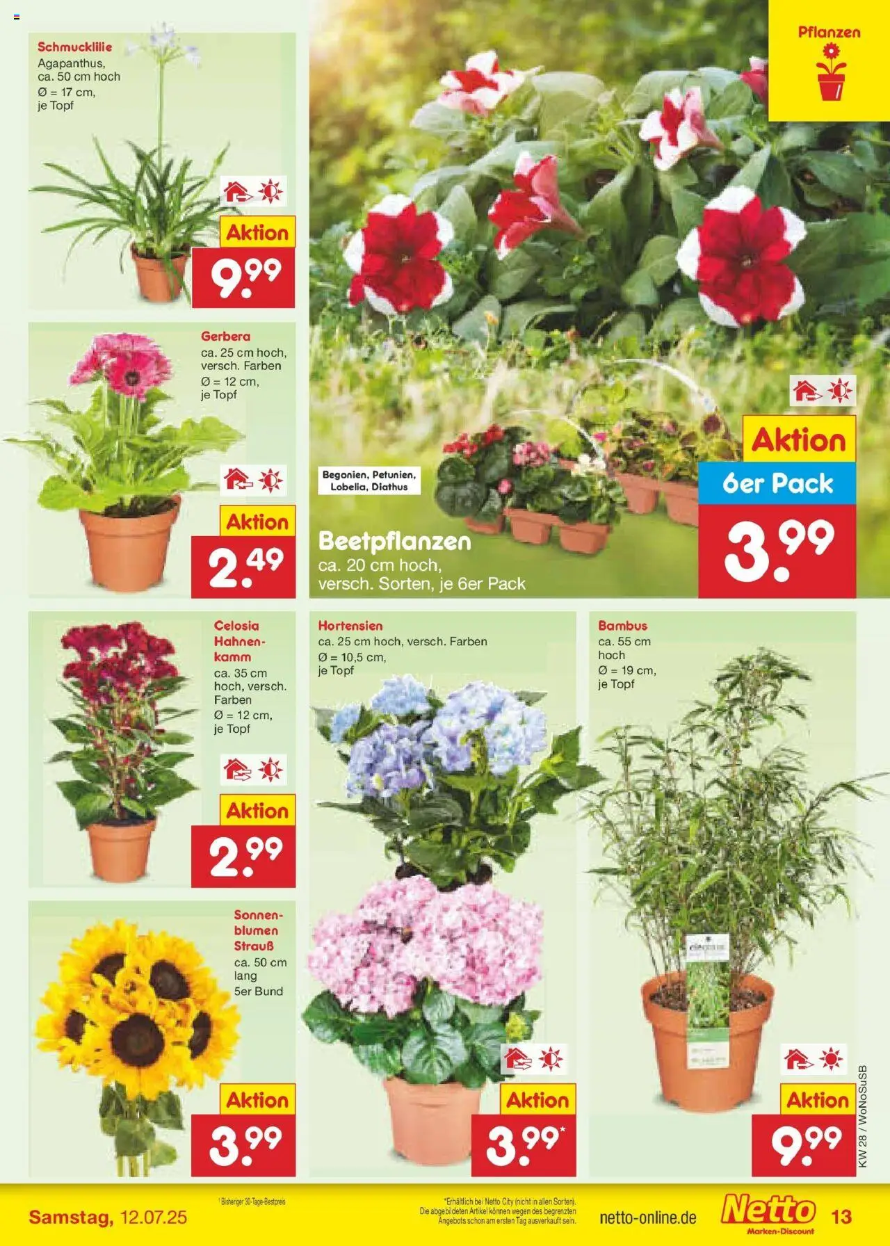 Netto Marken-Discount prospekt Lahnau	 - gültig ab dem 07.07.2025 | Seite: 15 | Produkte: Blumen