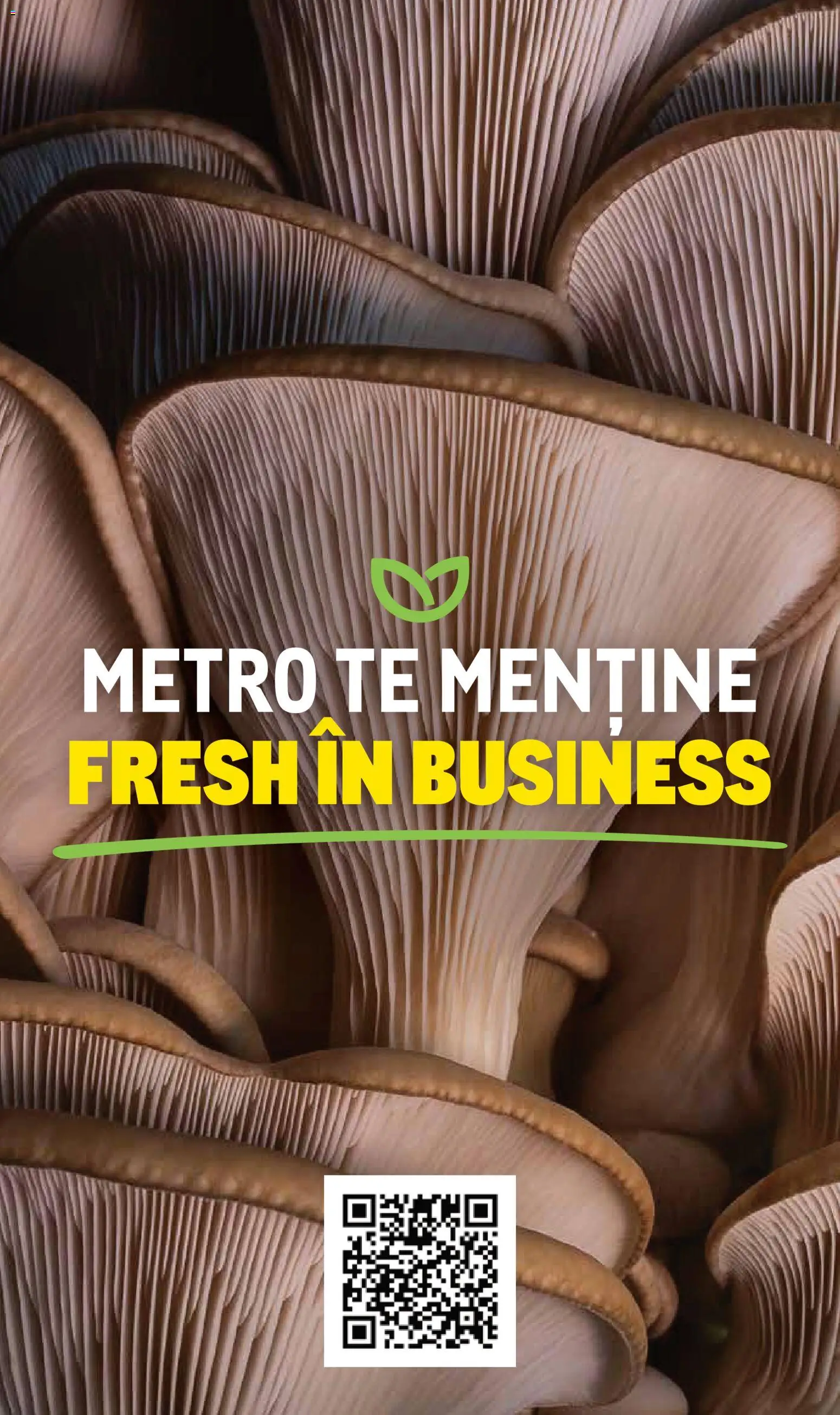 Noul catalog Metro – valabil de la 10.11.2025 | Pagină: 16