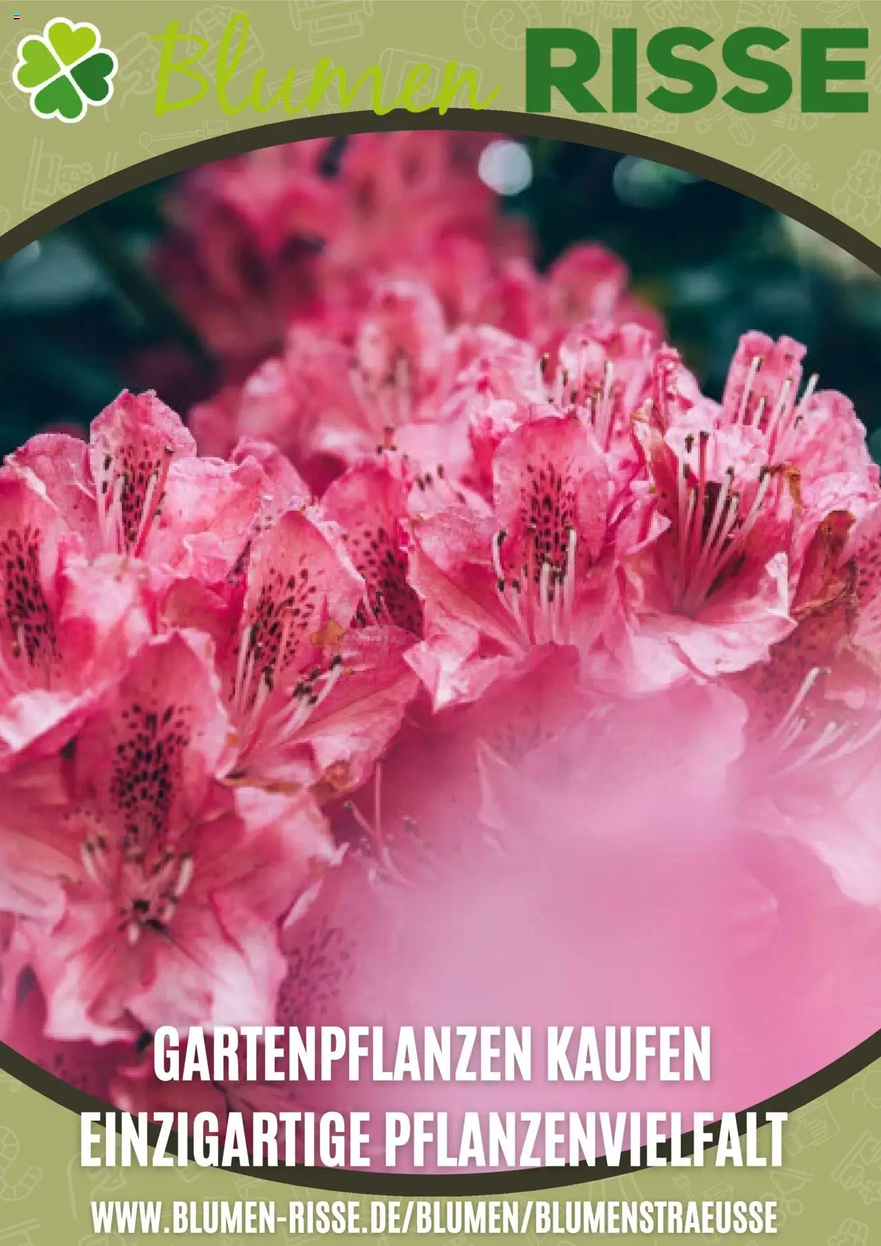 Blumen Risse Prospekt 	 – gültig ab 03.09.2025 | Seite: 1 | Produkte: Blumen