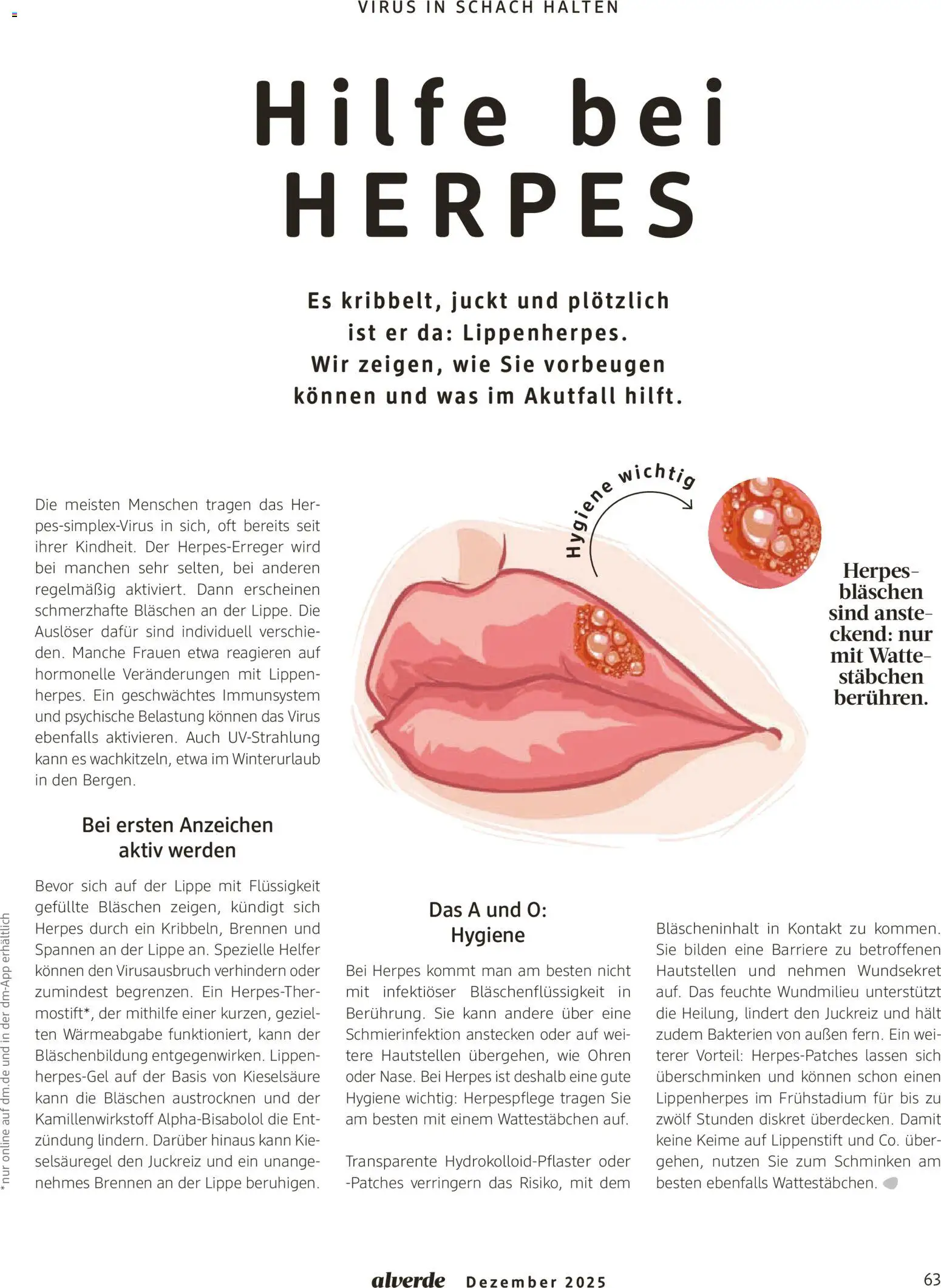 dm drogerie Prospekt 	 – gültig ab 01.01.2026 | Seite: 63