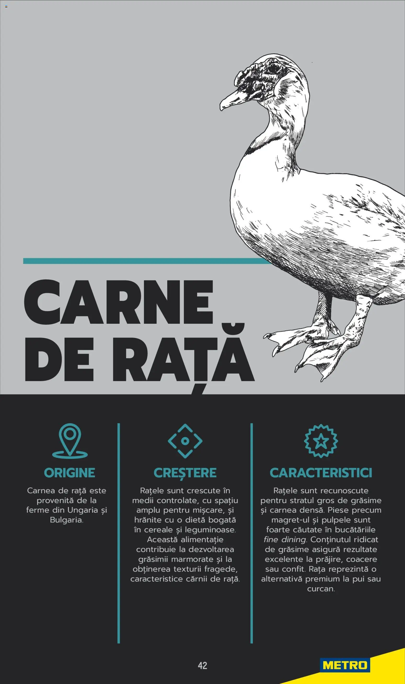 Noul catalog Metro – valabil de la 03.06.2025 | Pagină: 42 | Produse: Hacıyatmaz Kedi Oyuncağı, Rață, Cereale