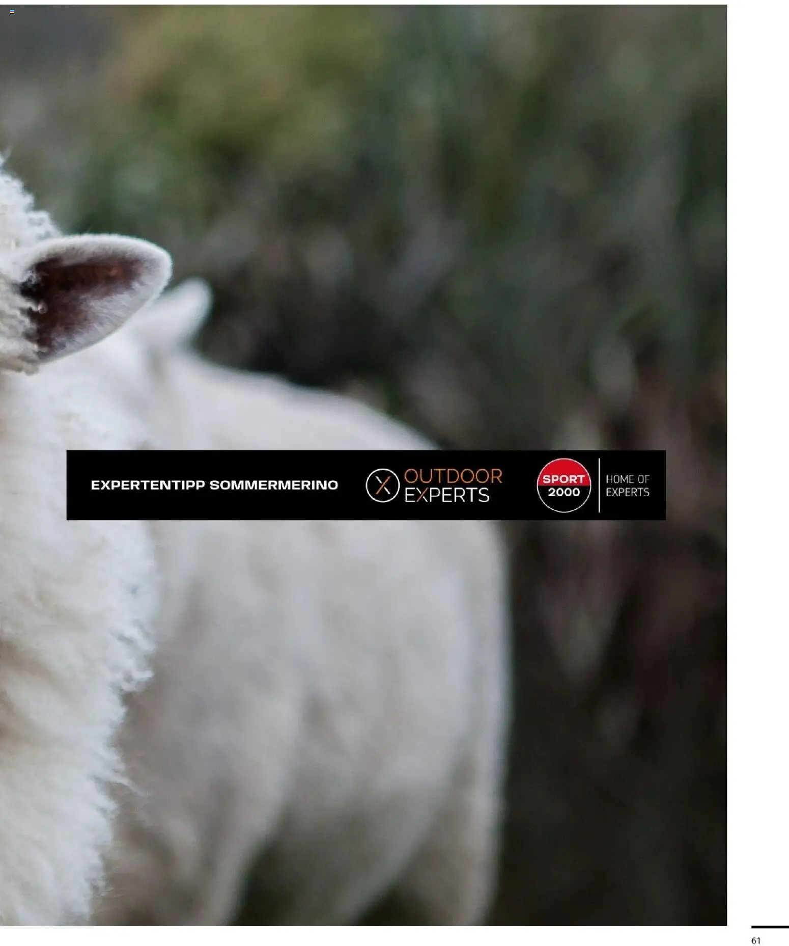 Sport2000 Prospekt Frühjahr 2026 – gültig ab 12.04.2026 | Seite: 61