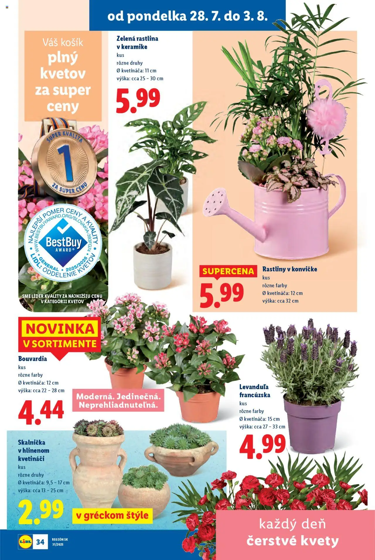 Lidl leták │ platný od 28.07.2025 | Strana: 40 | Produkty: Kvety