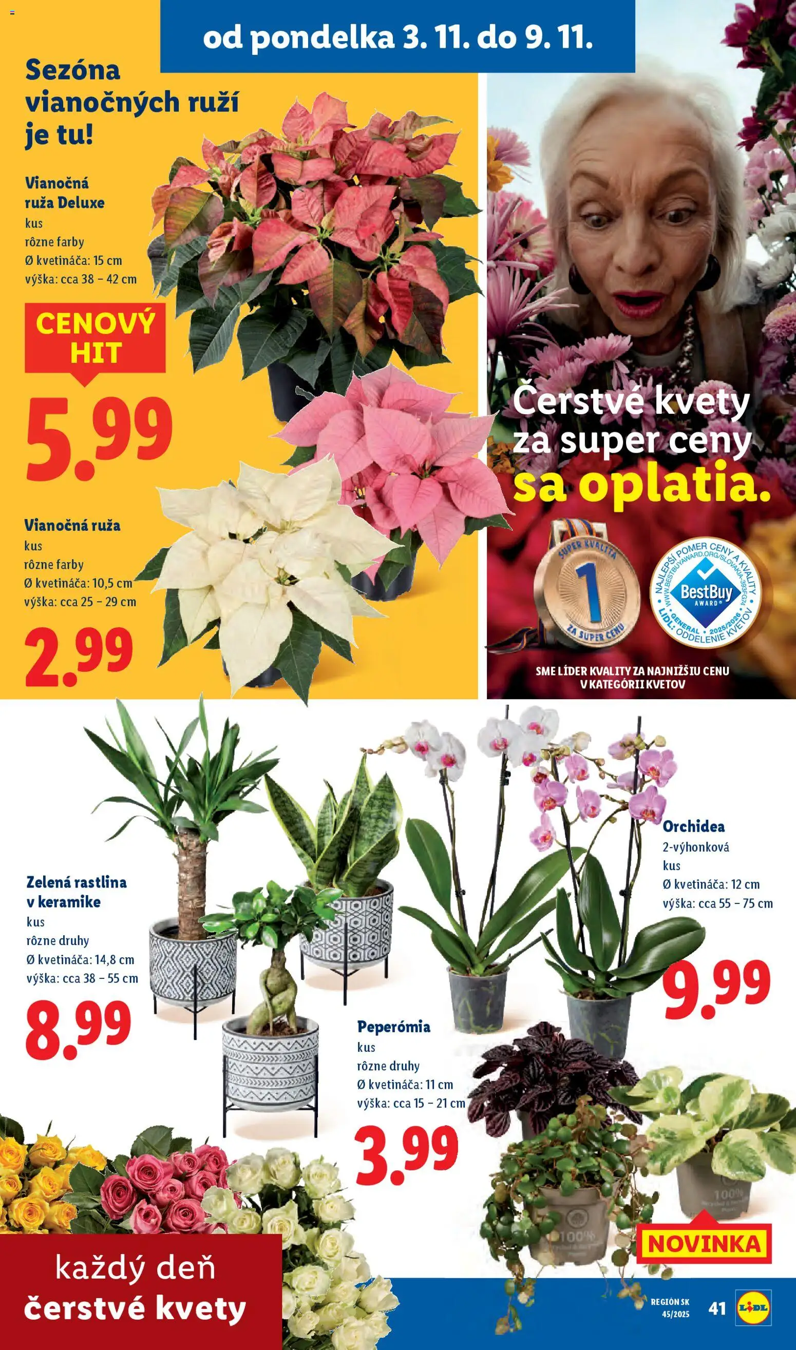 Nové Lidl akcie – leták je platný od 03.11.2025 | Strana: 46 | Produkty: Kvety, Orchidea