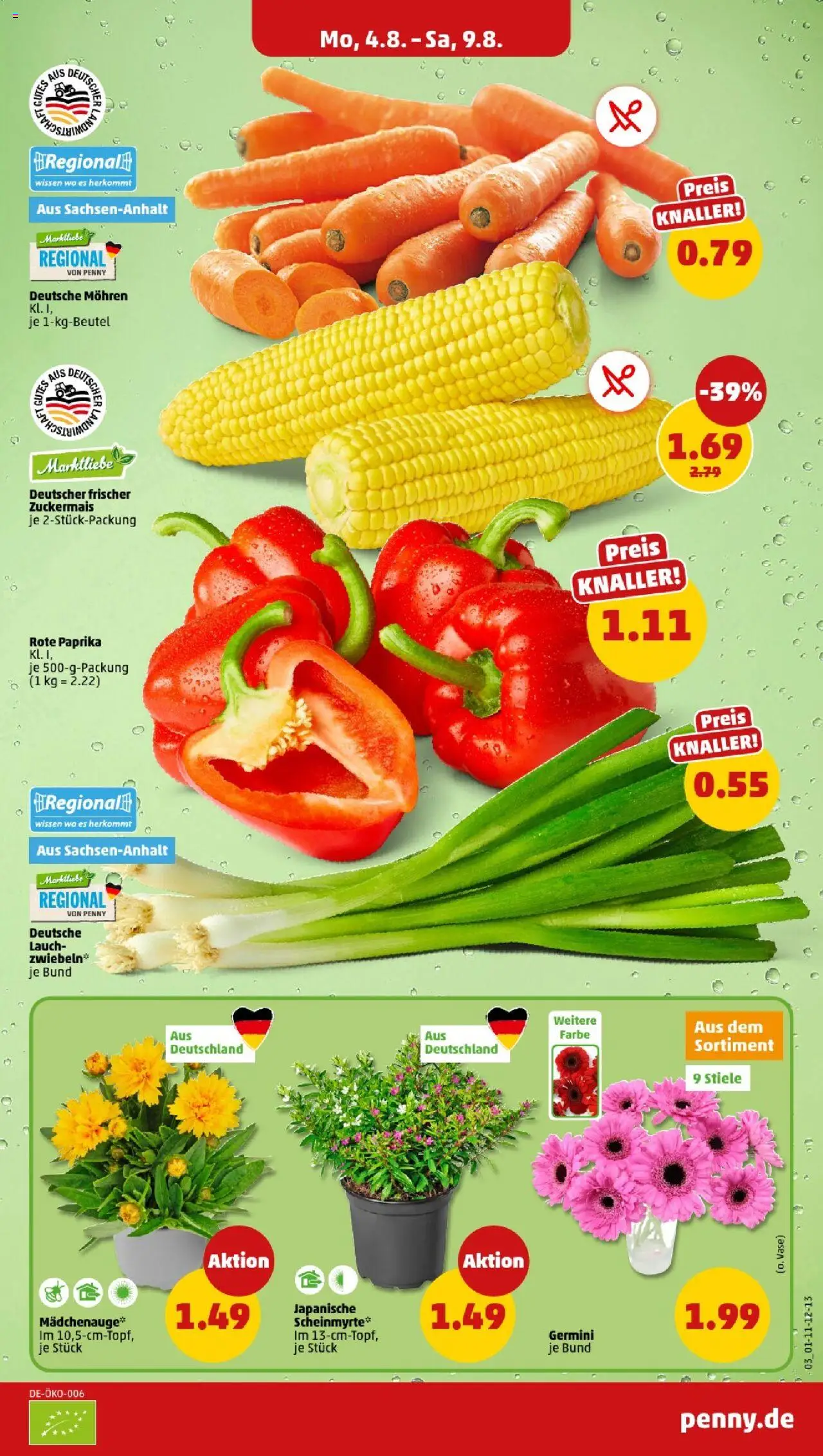 Penny - Mecklenburg-Vorpommern - gültig ab dem 04.08.2025 | Seite: 3 | Produkte: Vase, Mohren, Zwiebeln, Paprika