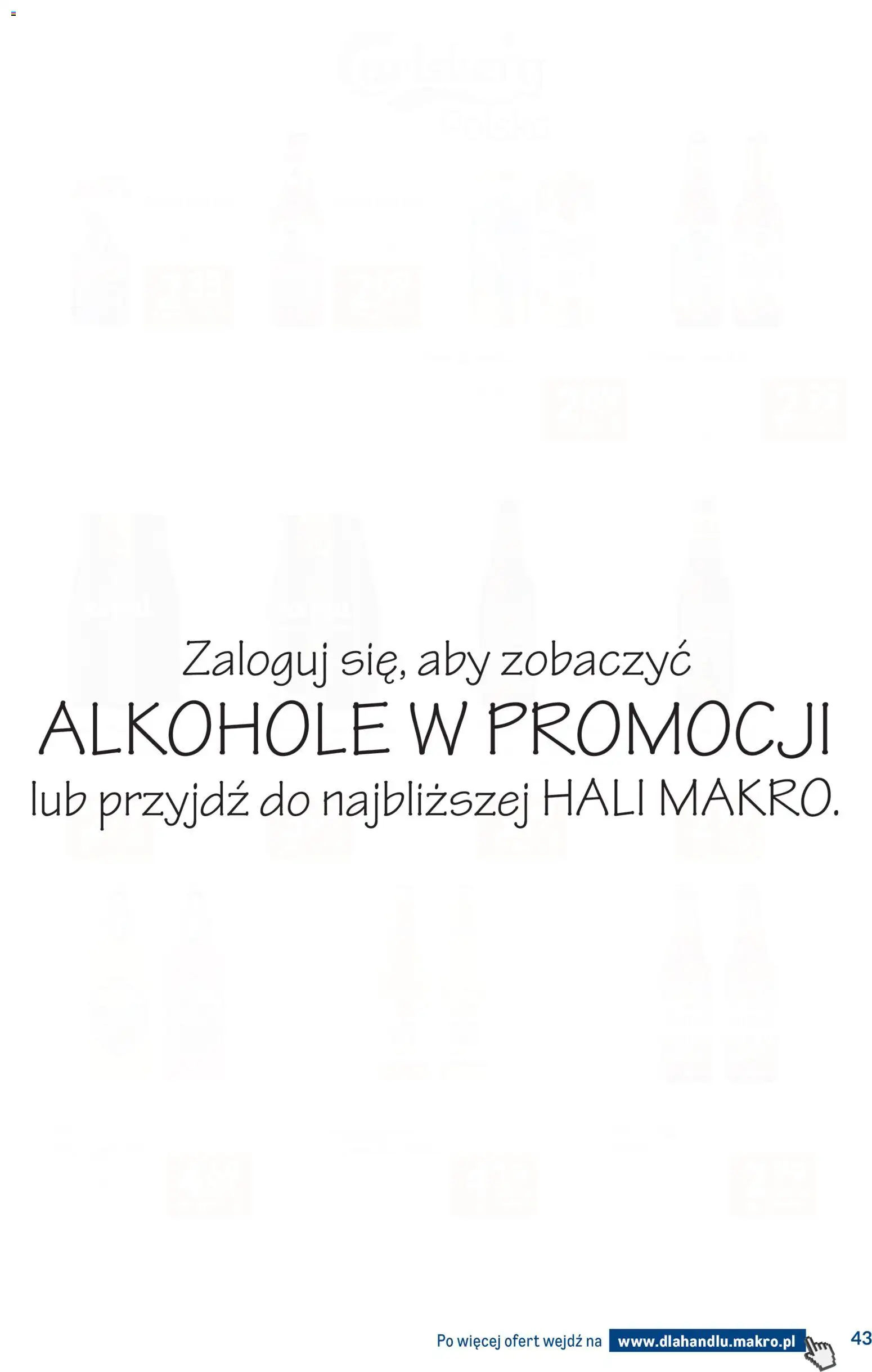 Makro Gazetka - Dystrybucja do sklepów od 07.01.2026 | Strona: 43 | Produkty: Piwo