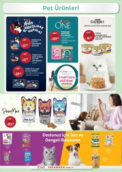 02.02.2026 tarihinden itibaren geçerli olan Rossmann kataloğu önizlemesi | Sayfa: 12