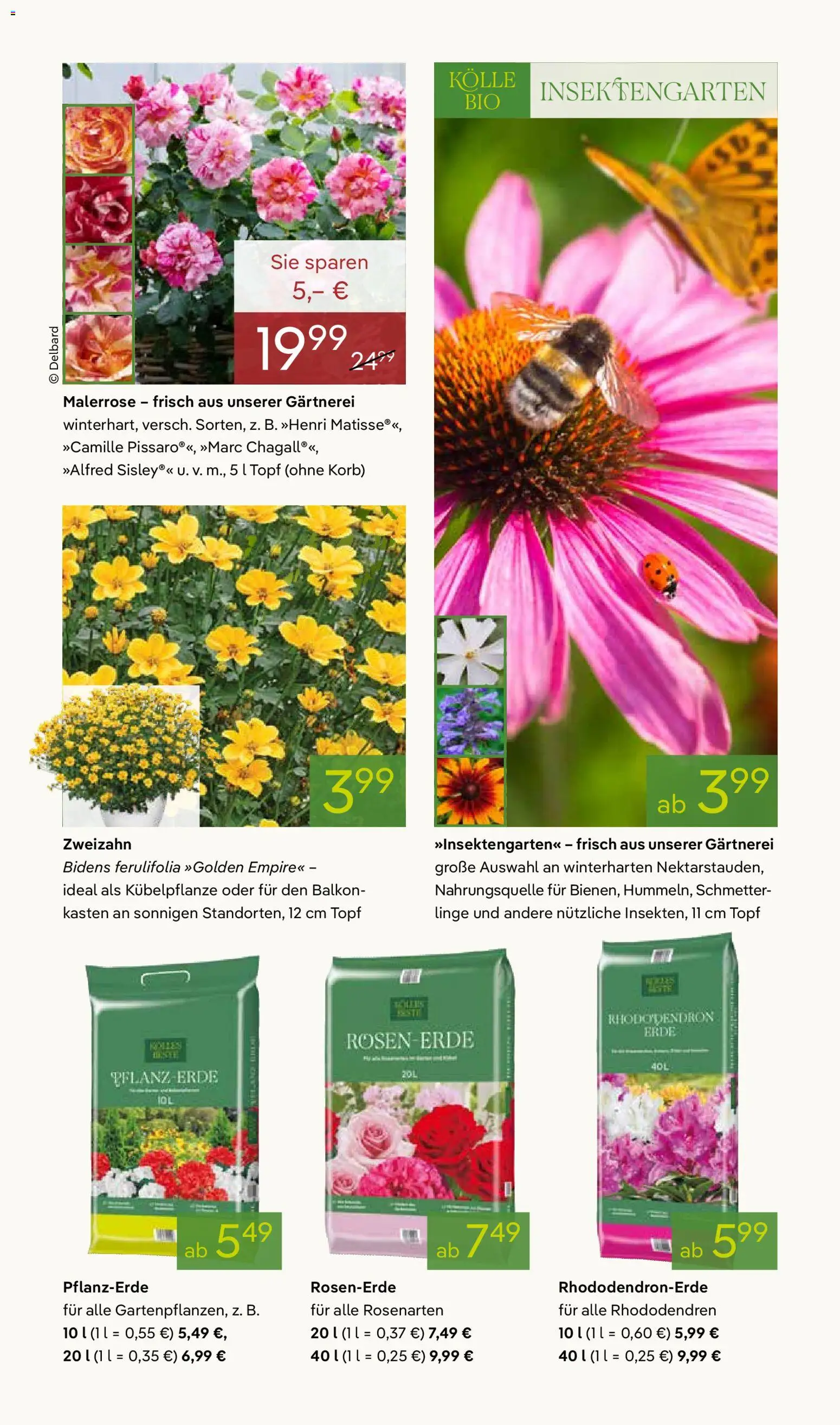 Pflanzen-Kölle Prospekt 	 – gültig ab 20.04.2026 | Seite: 5 | Produkte: Pflanzerde, Korb