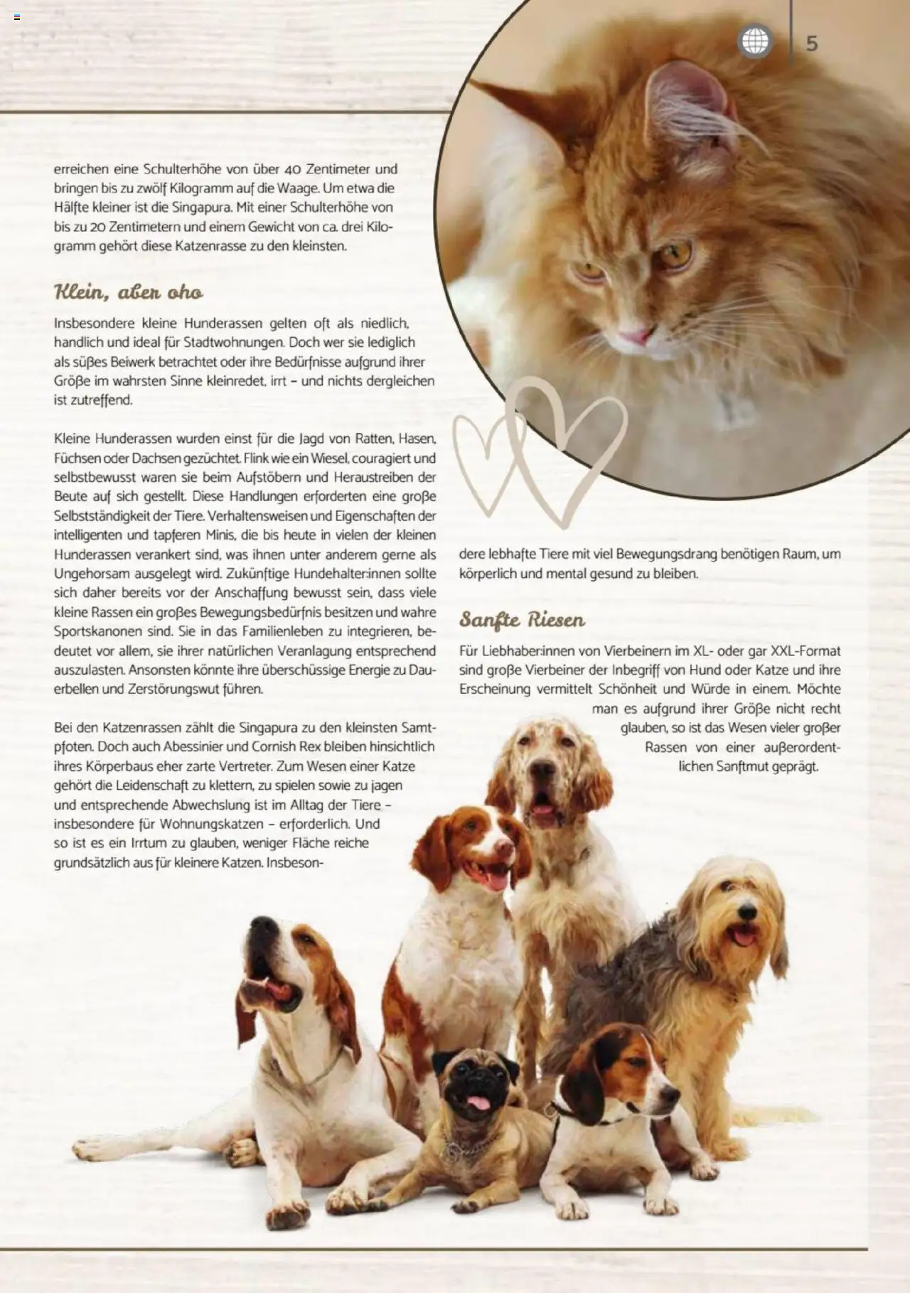 zookauf Heimtier Journal – gültig ab 01.10.2025 | Seite: 5 | Produkte: Gewicht
