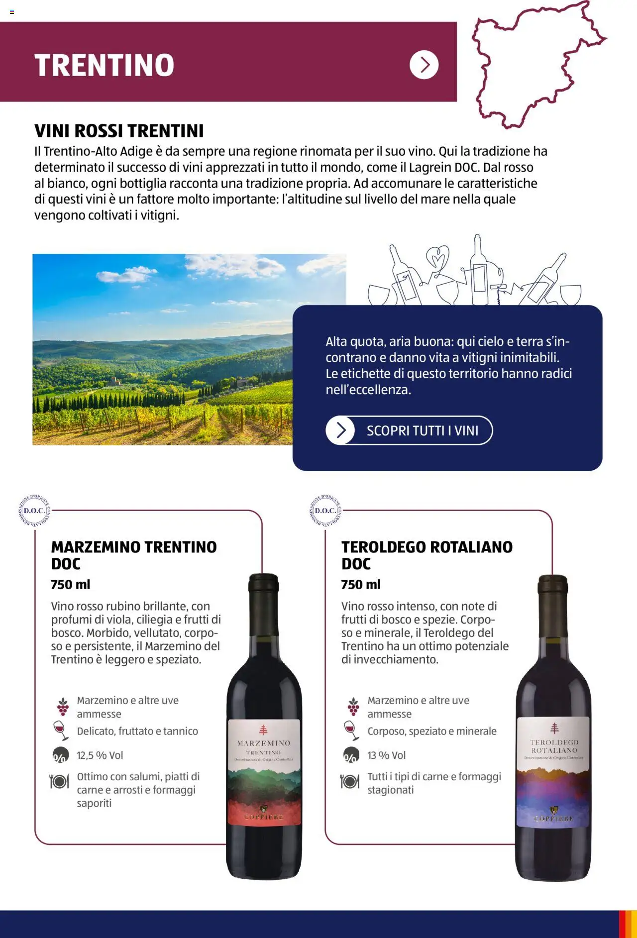 Volantino Aldi del 05.11.2024 | Pagina: 14 | Prodotti: Vino, Bottiglia, Vino rosso, Terra