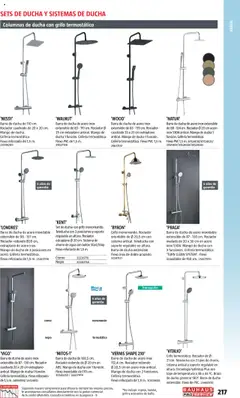 Vista previa Bauhaus - ProService  válido desde el 24.02.2025 | Página: 217 | Productos: Té, Barra de ducha, Teléfono, Ducha